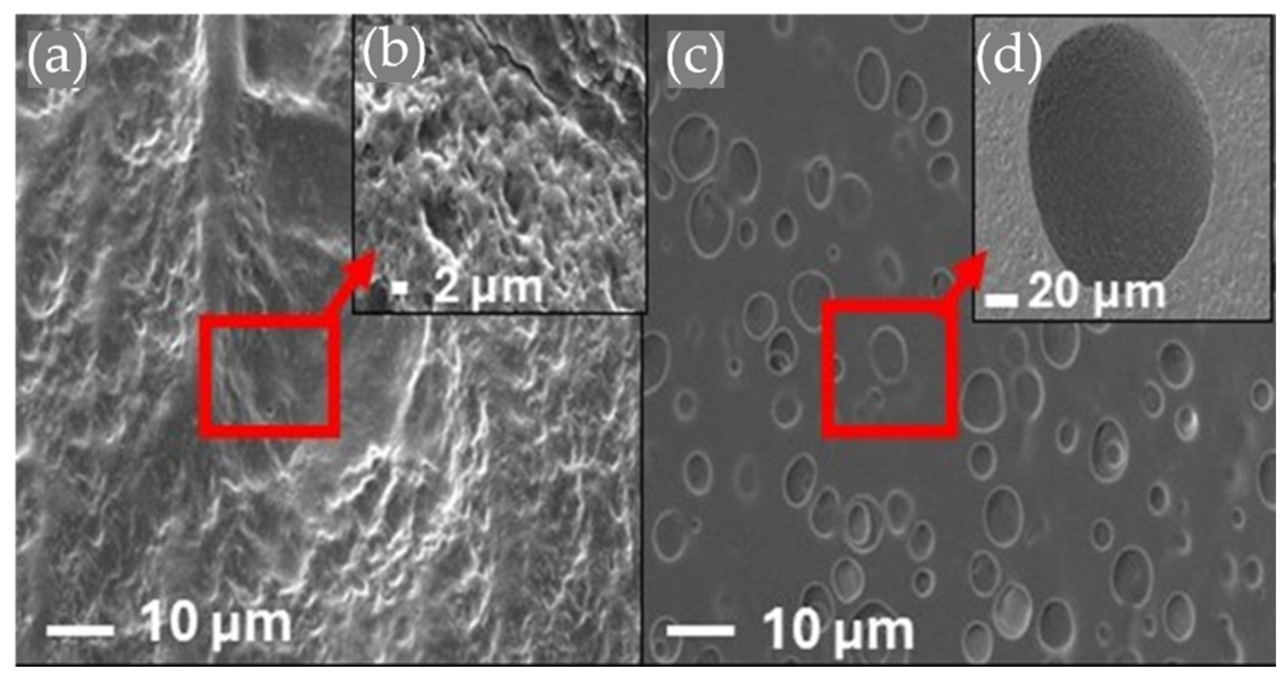 Polymers 17 01520 g006