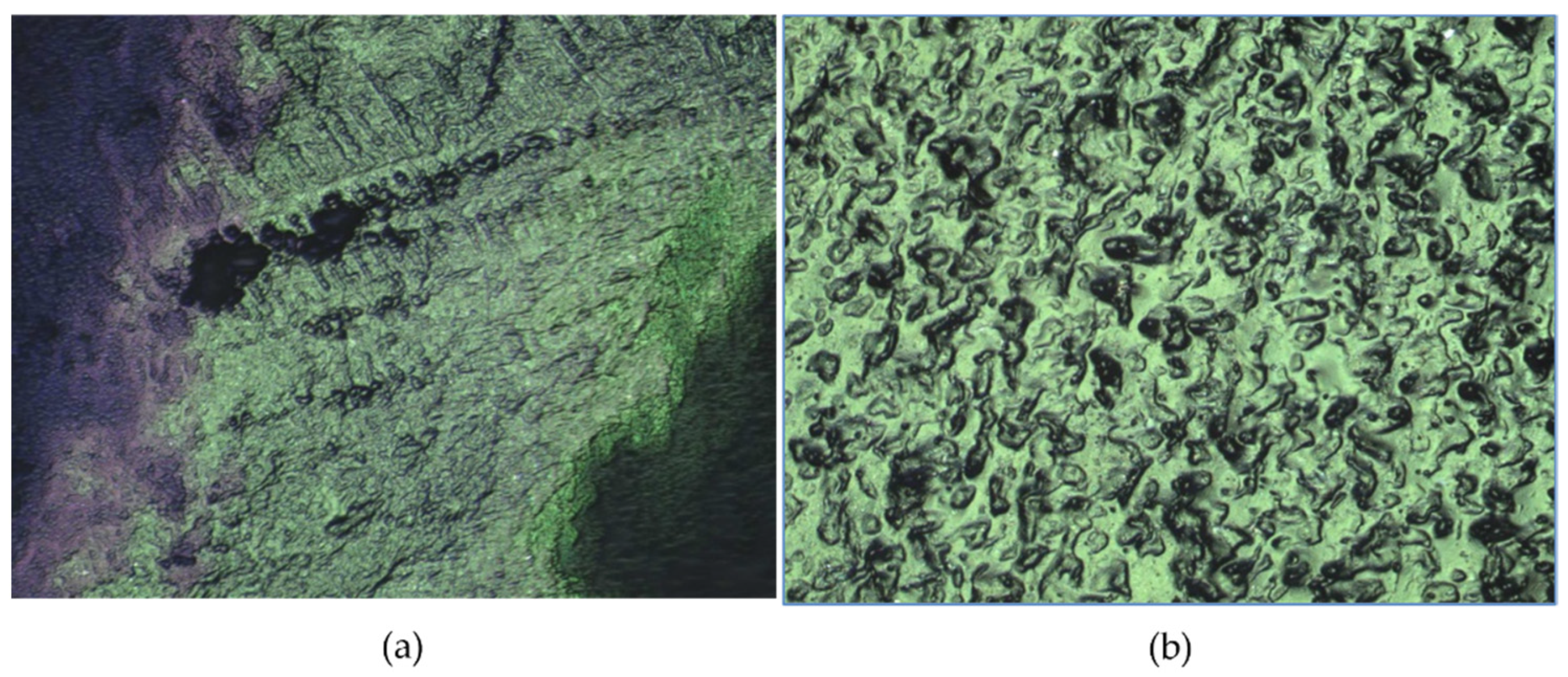 Polymers 17 01520 g008