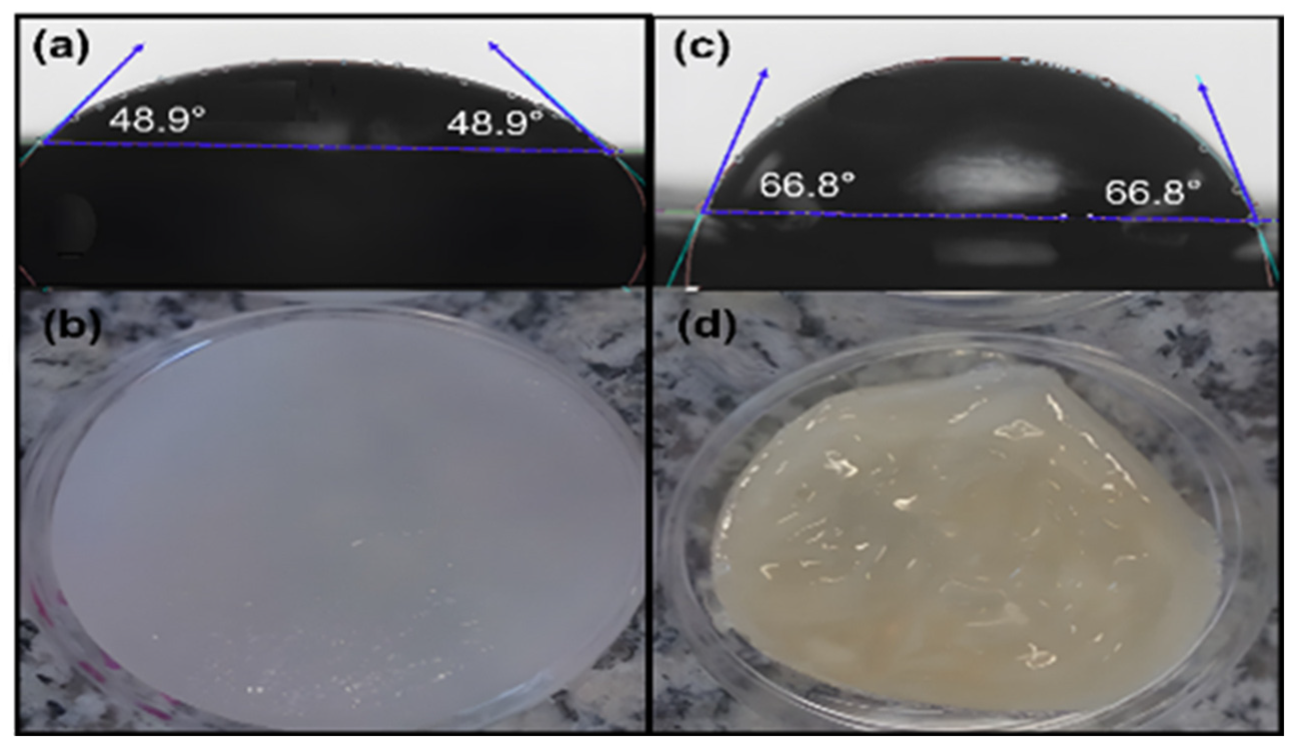 Polymers 17 01520 g012