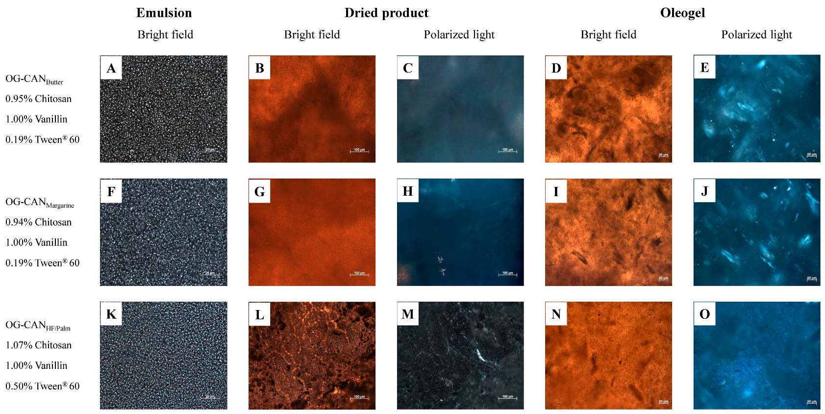 Polymers 17 01526 g003