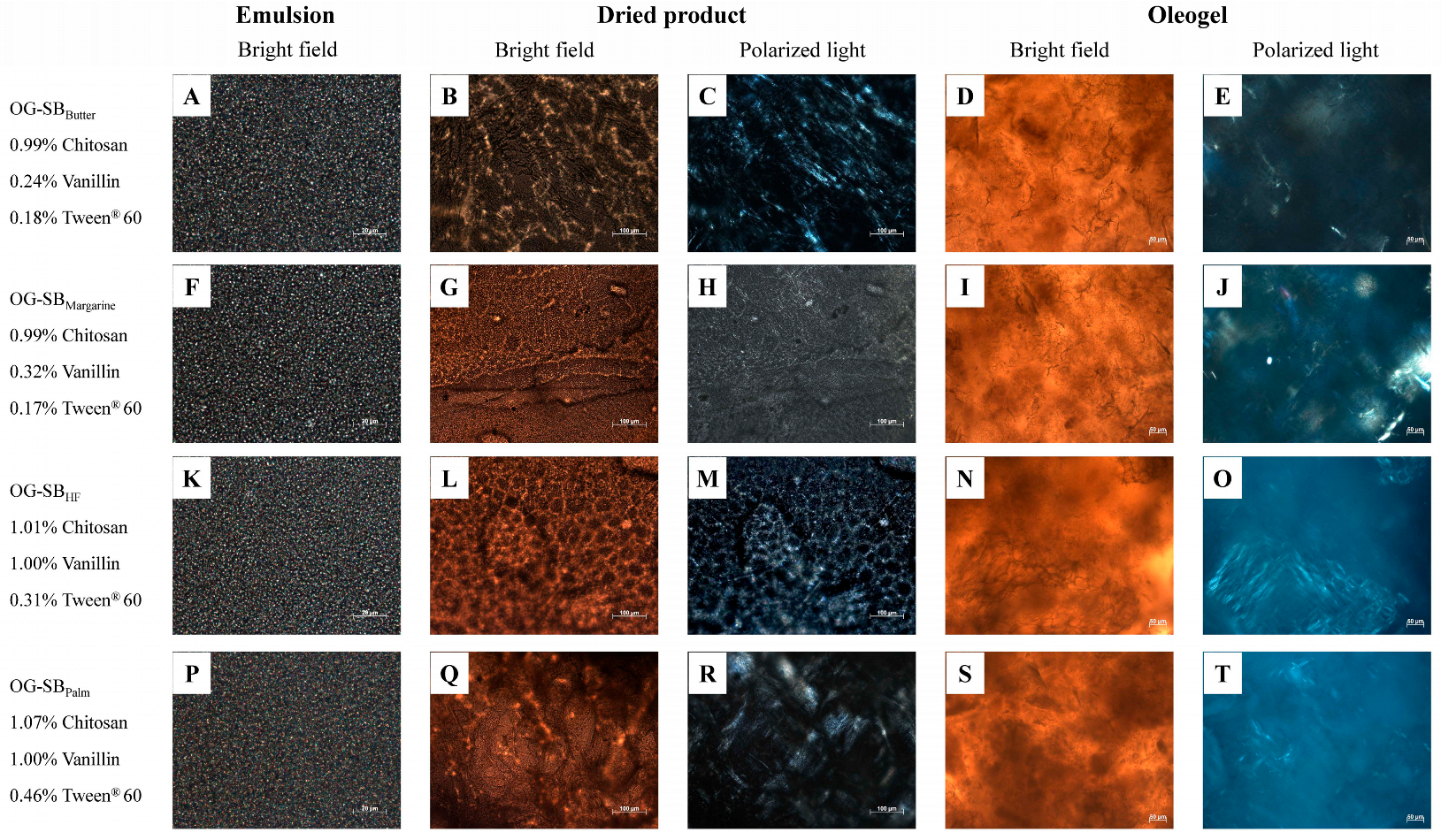 Polymers 17 01526 g004