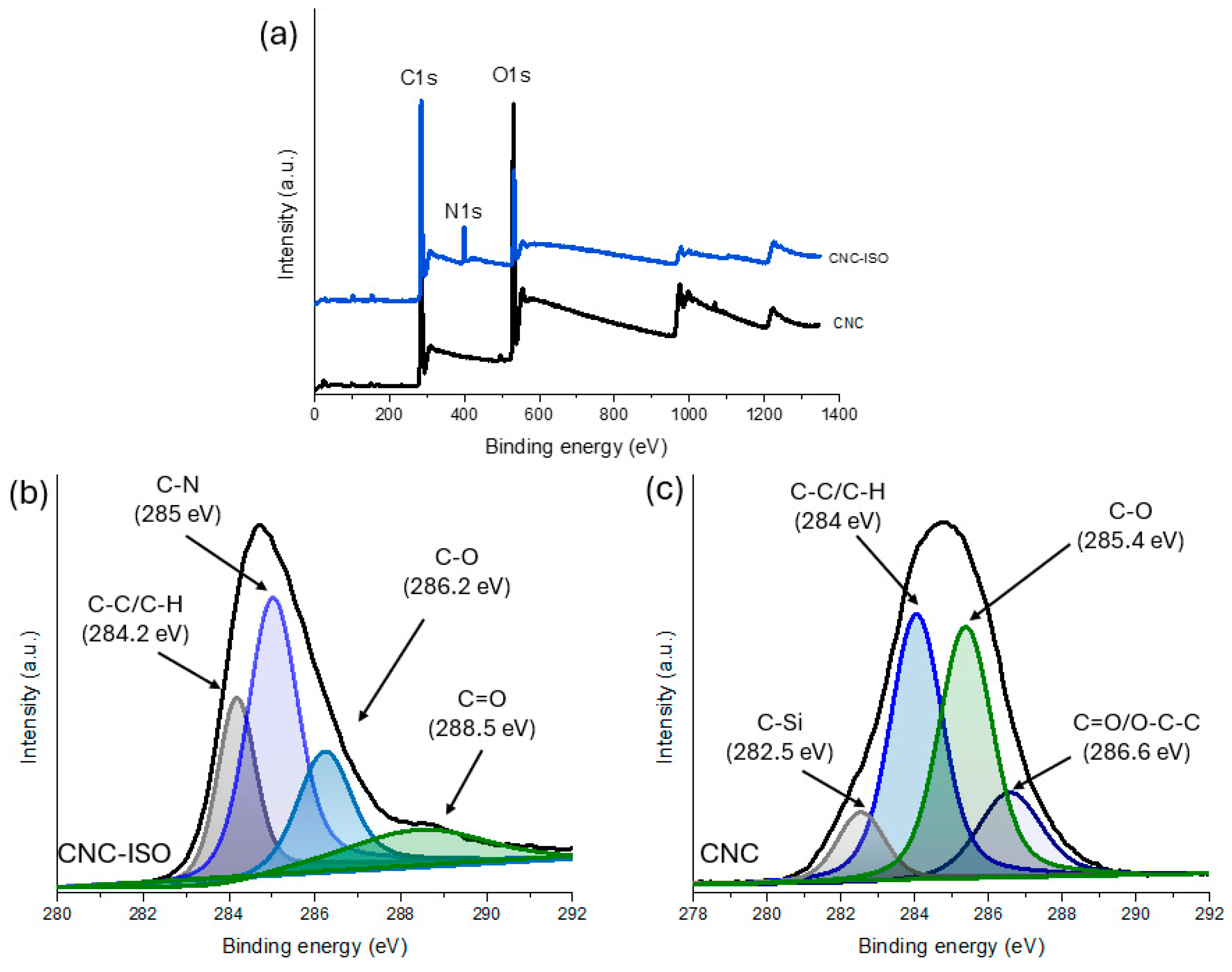 Polymers 17 01527 g005