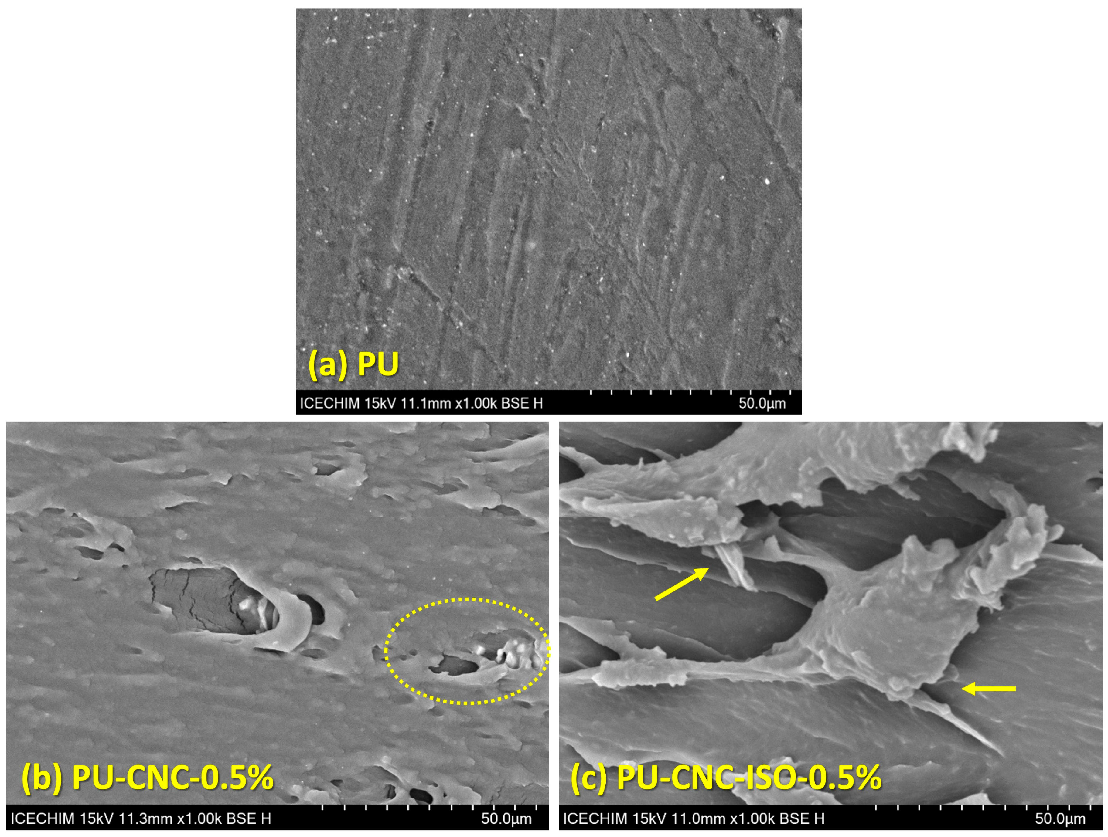 Polymers 17 01527 g012a