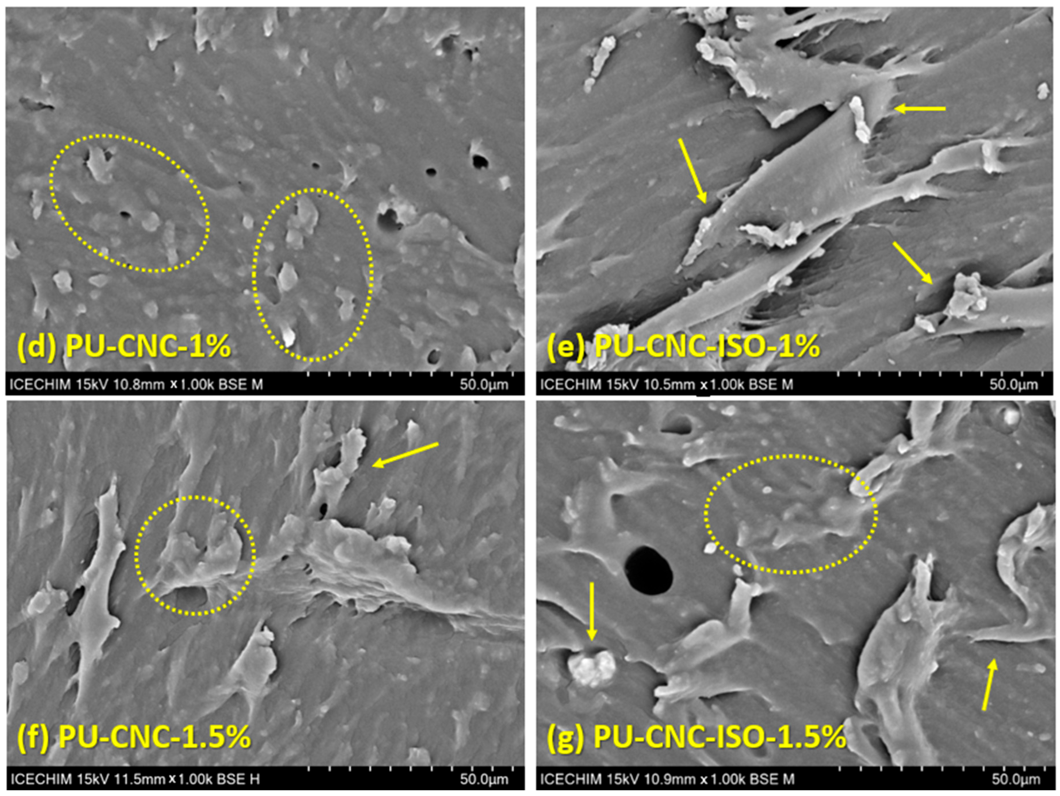 Polymers 17 01527 g012b