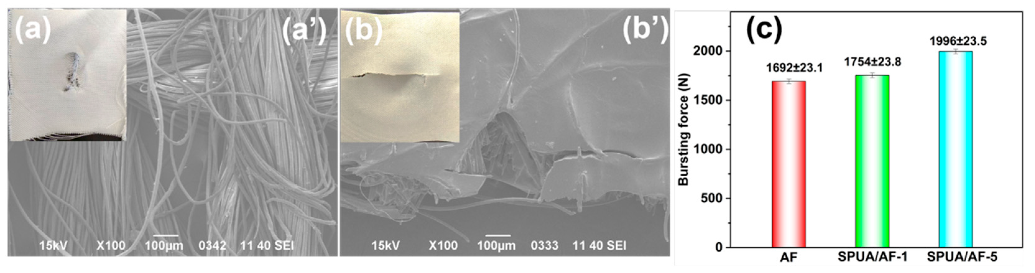 Polymers 17 01529 g007
