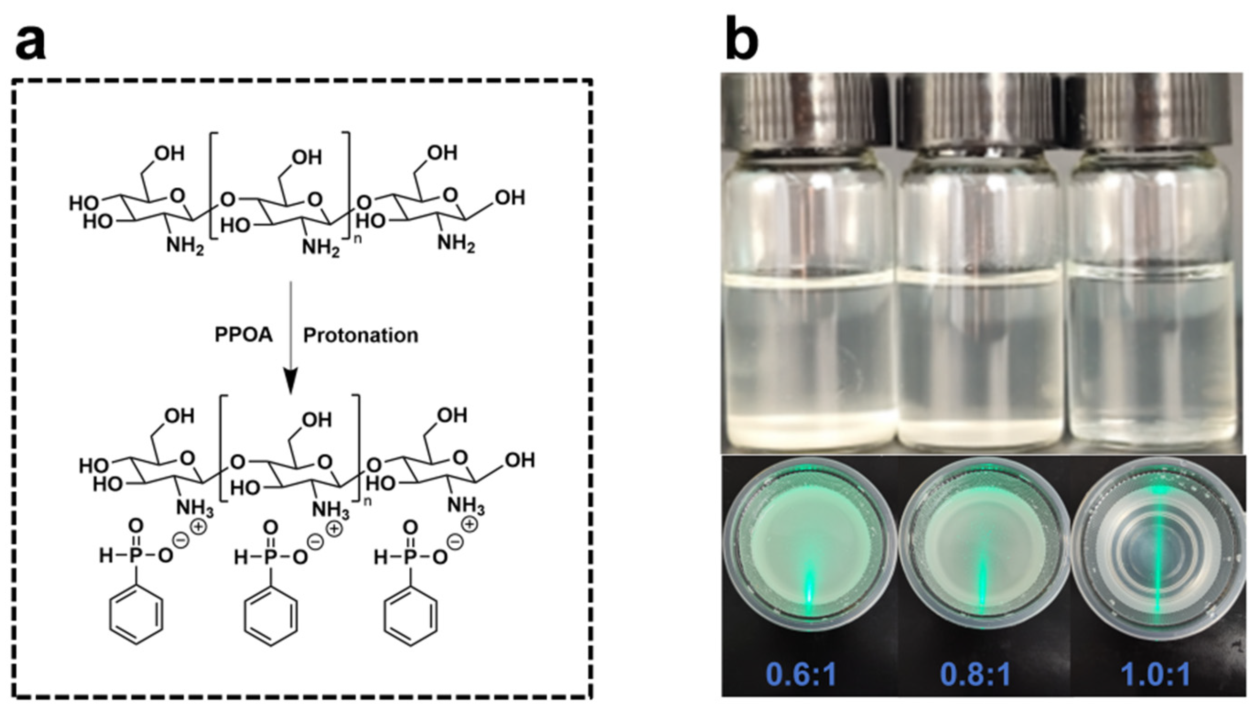 Polymers 17 01531 g001