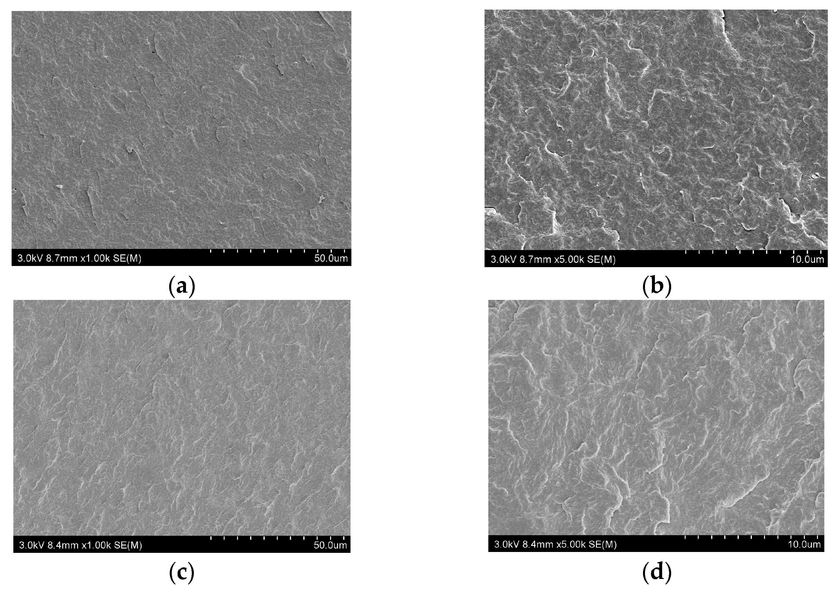 Polymers 17 01537 g005