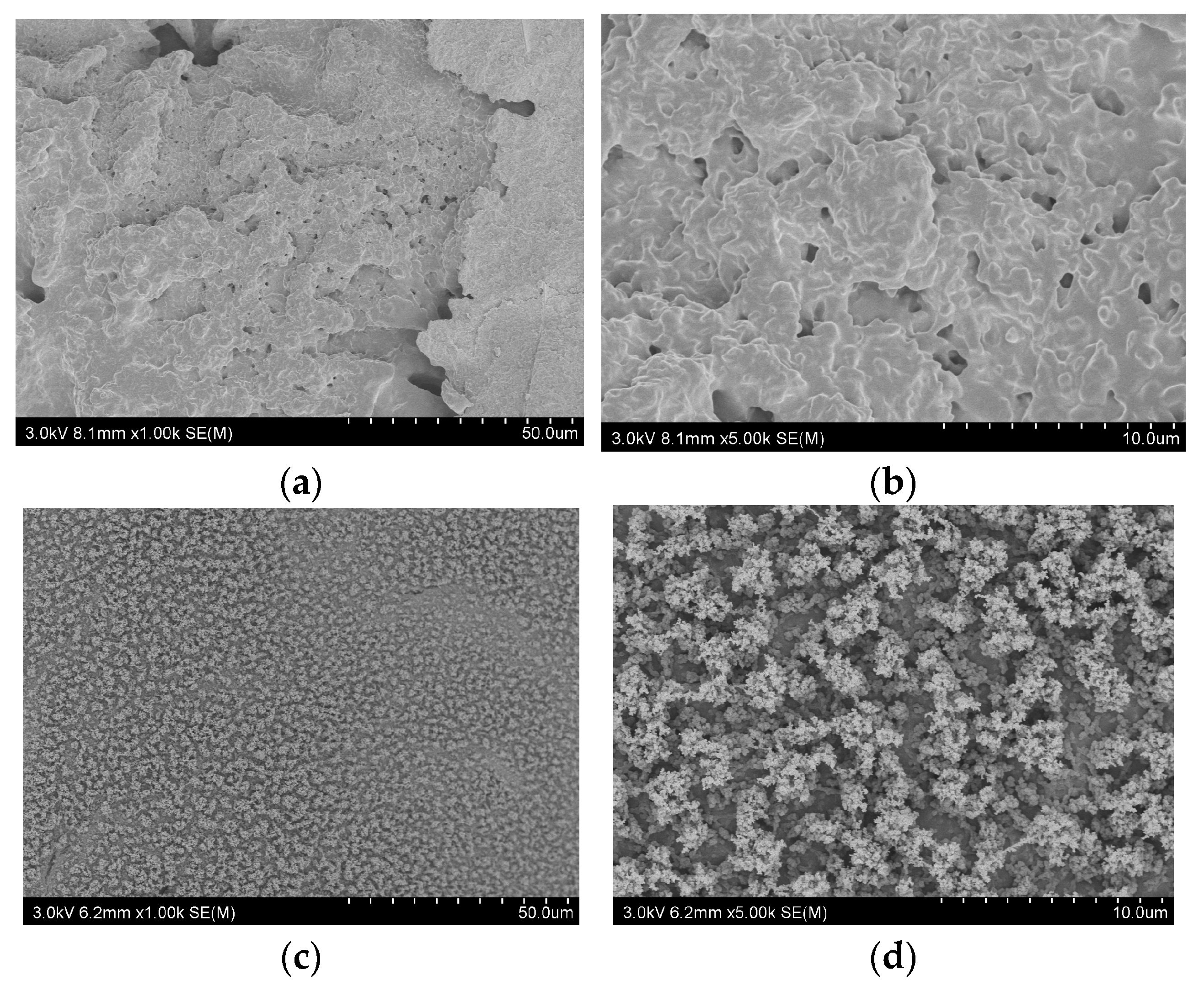 Polymers 17 01537 g010