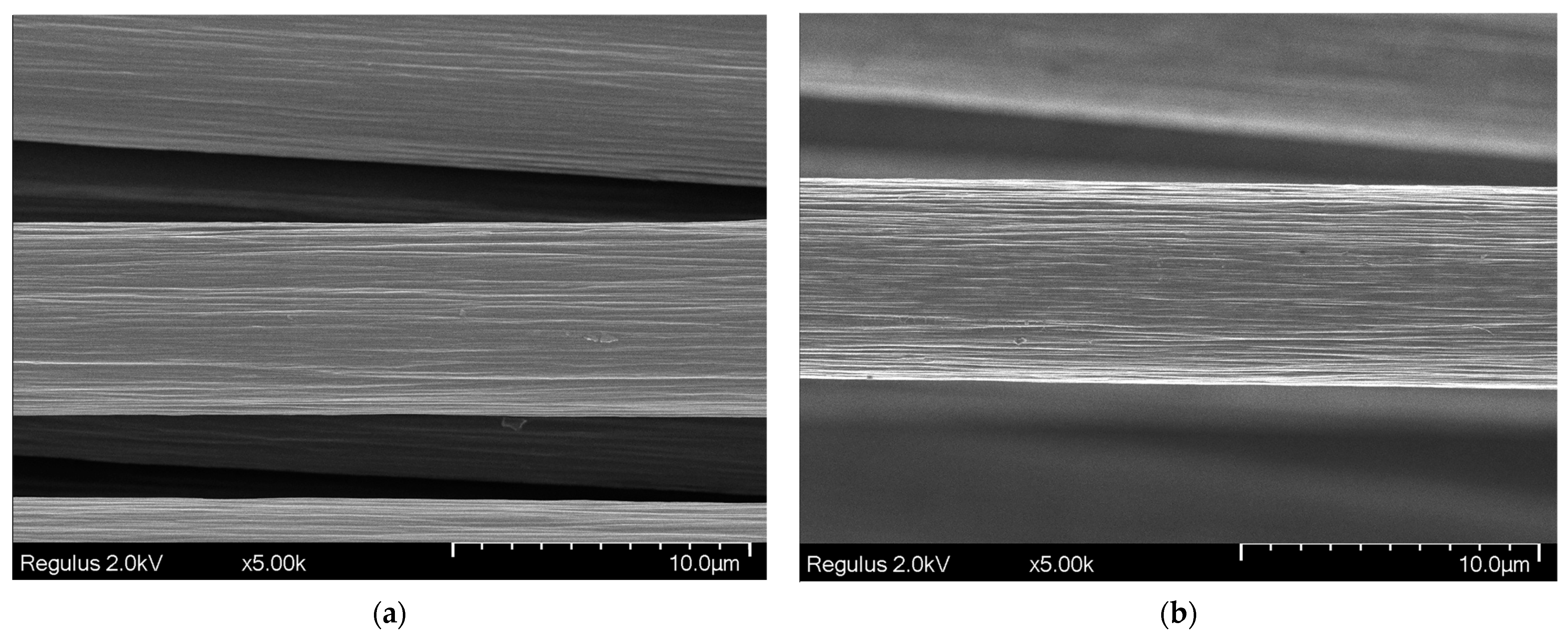 Polymers 17 01541 g002