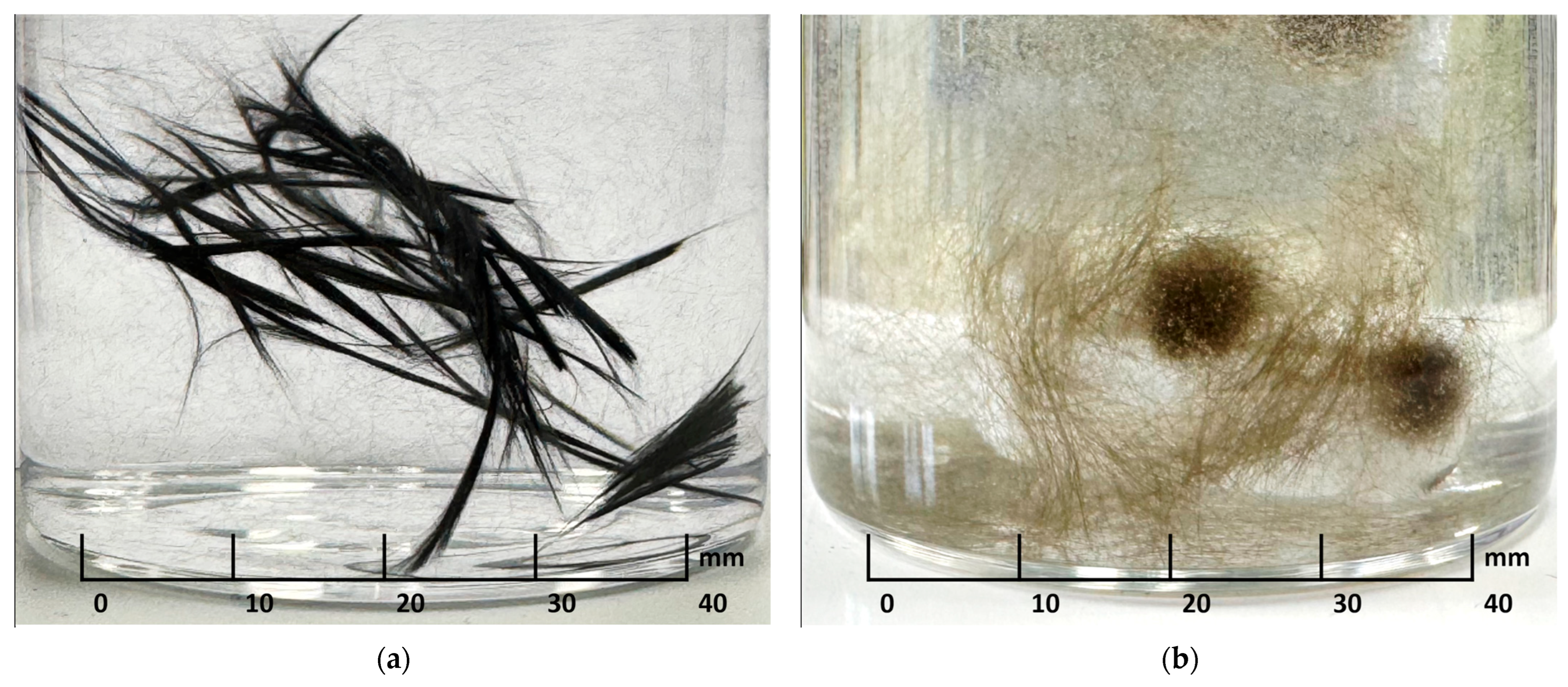 Polymers 17 01541 g009