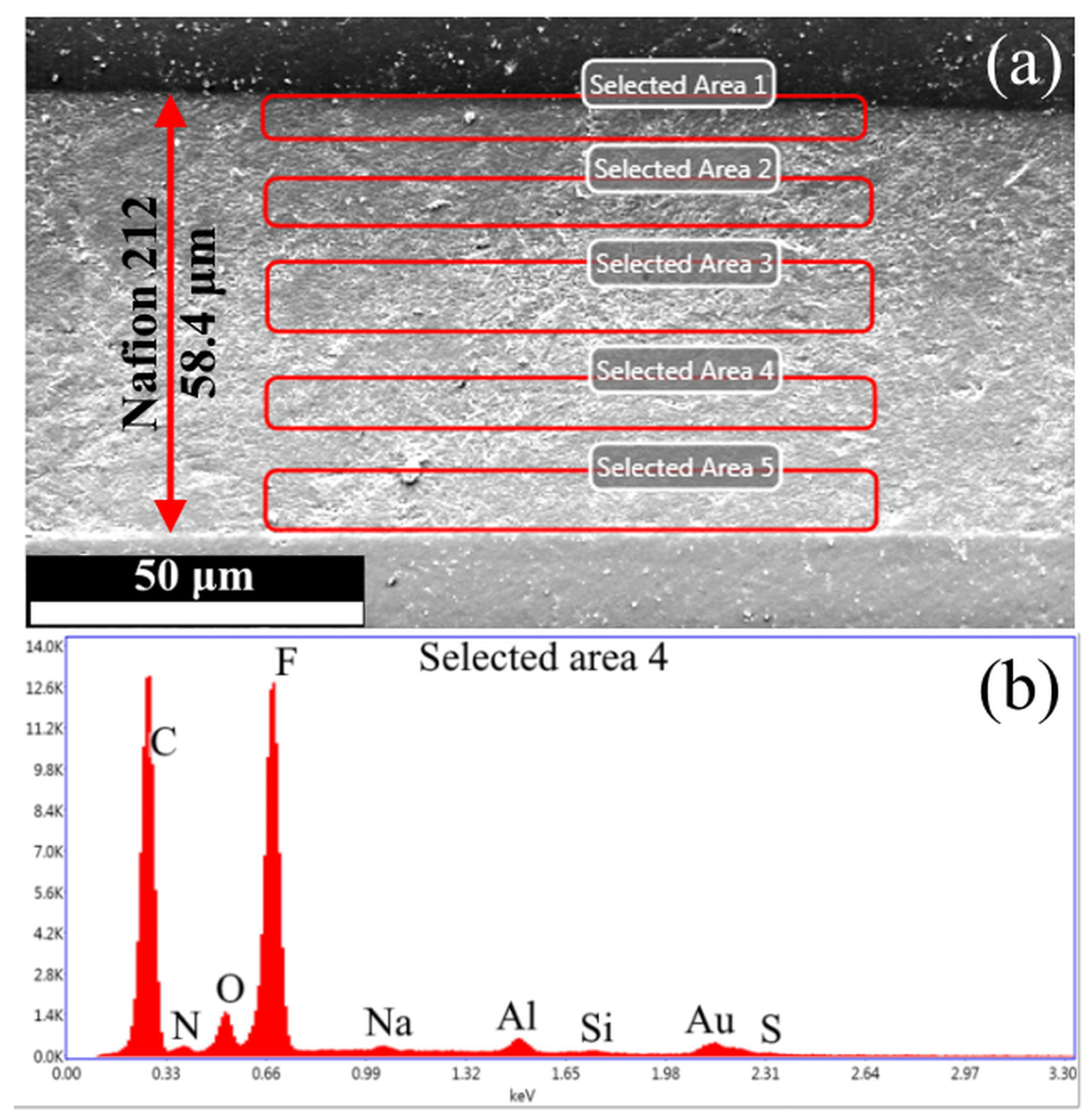 Polymers 17 01542 g006