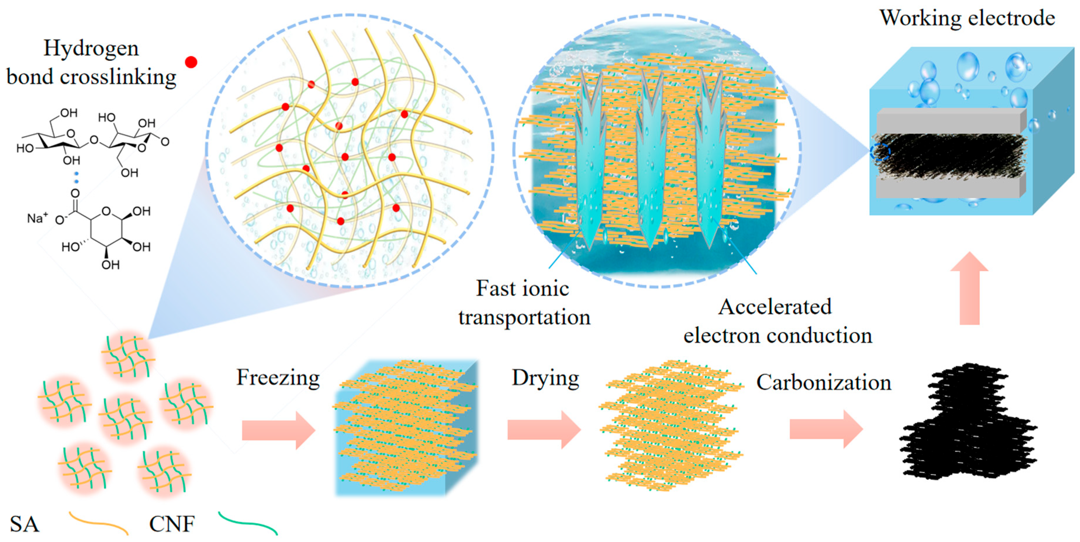 Polymers 17 01544 g008