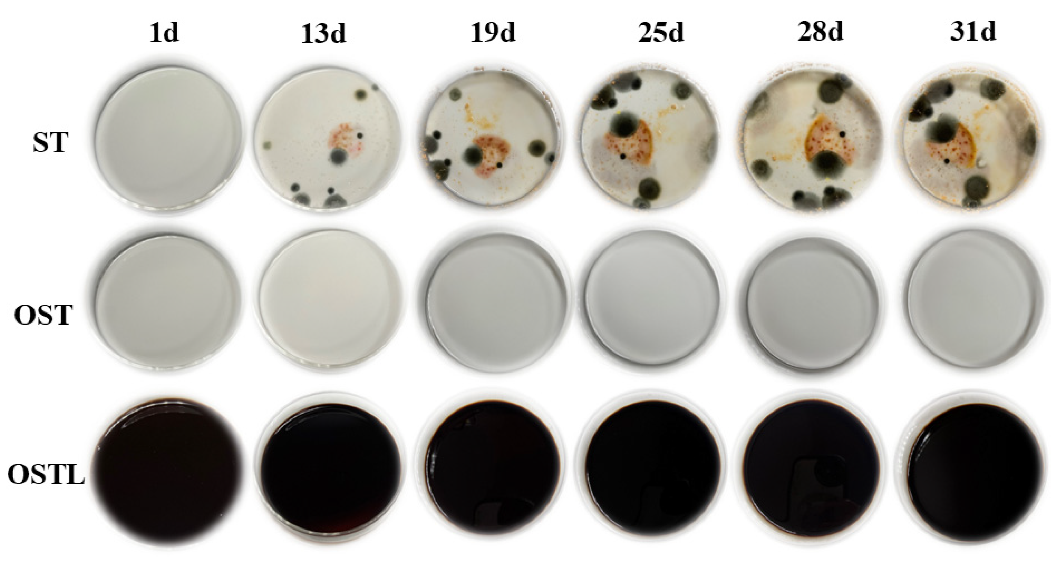 Polymers 17 01545 g008