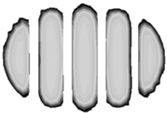 Polymers 17 01546 i016