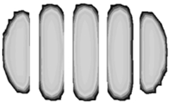 Polymers 17 01546 i017