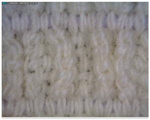 Polymers 17 01552 i004