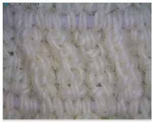 Polymers 17 01552 i007