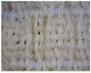 Polymers 17 01552 i009