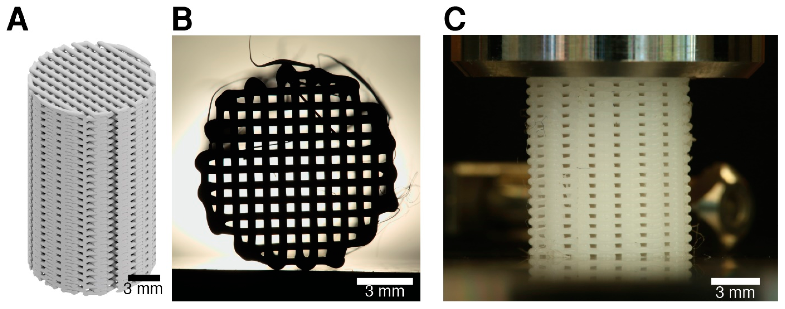 Polymers 17 01554 g005