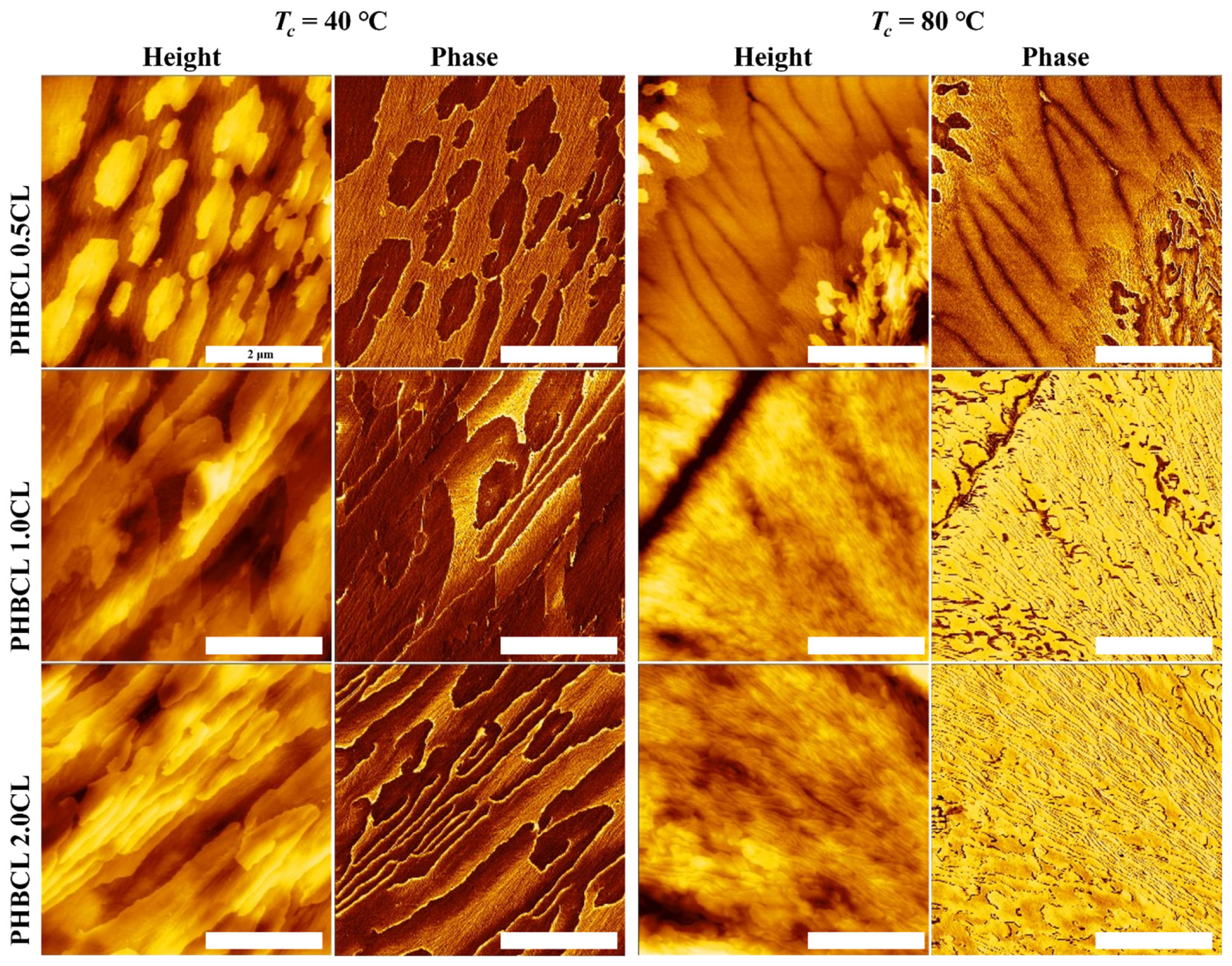 Polymers 17 01558 g009