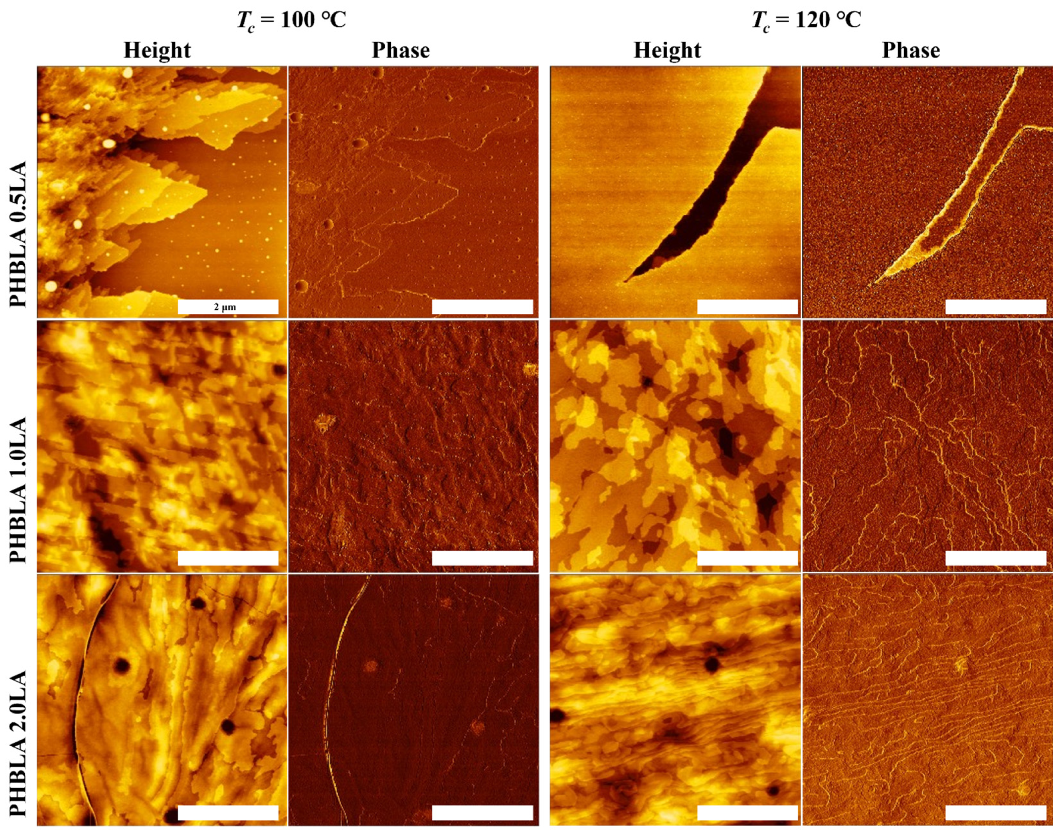 Polymers 17 01558 g010
