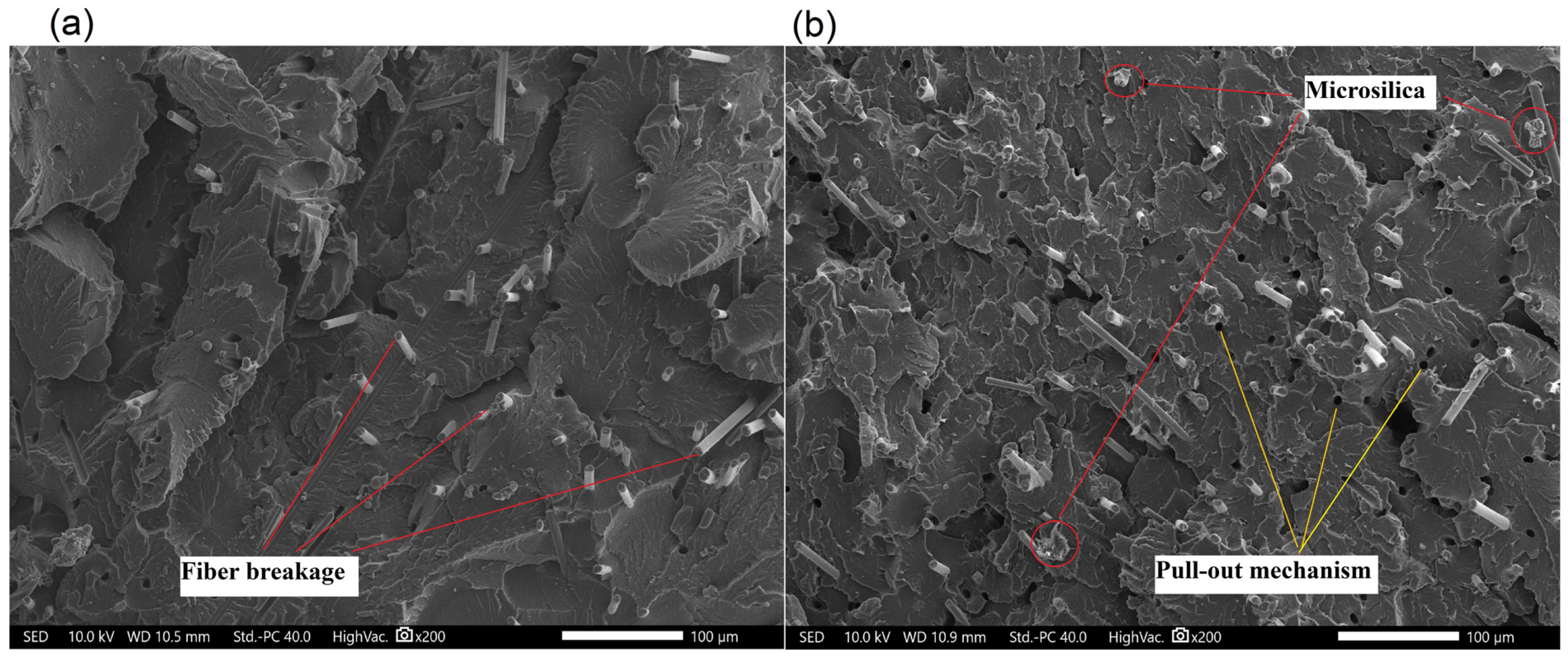Polymers 17 01559 g009