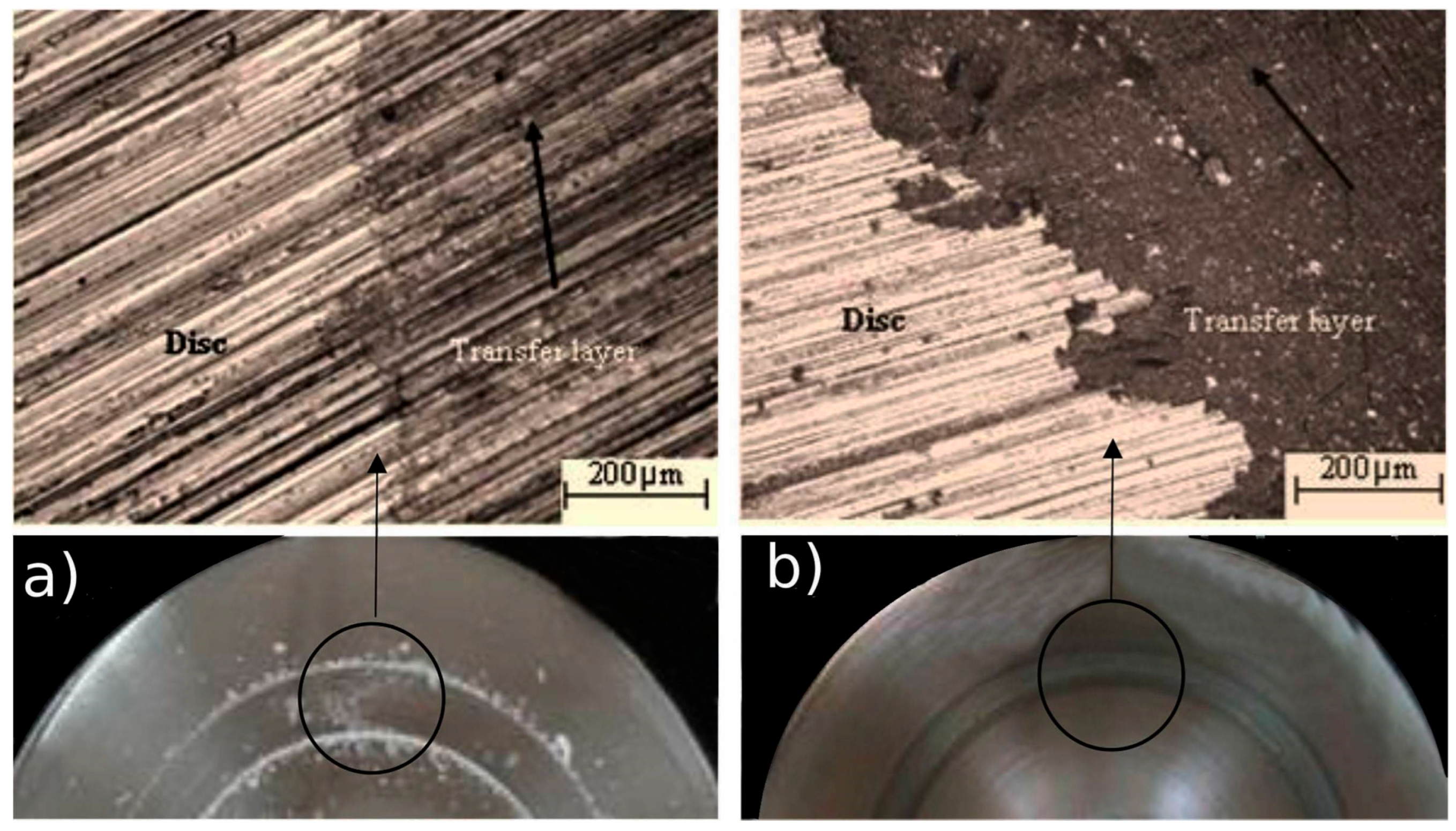 Polymers 17 01565 g016