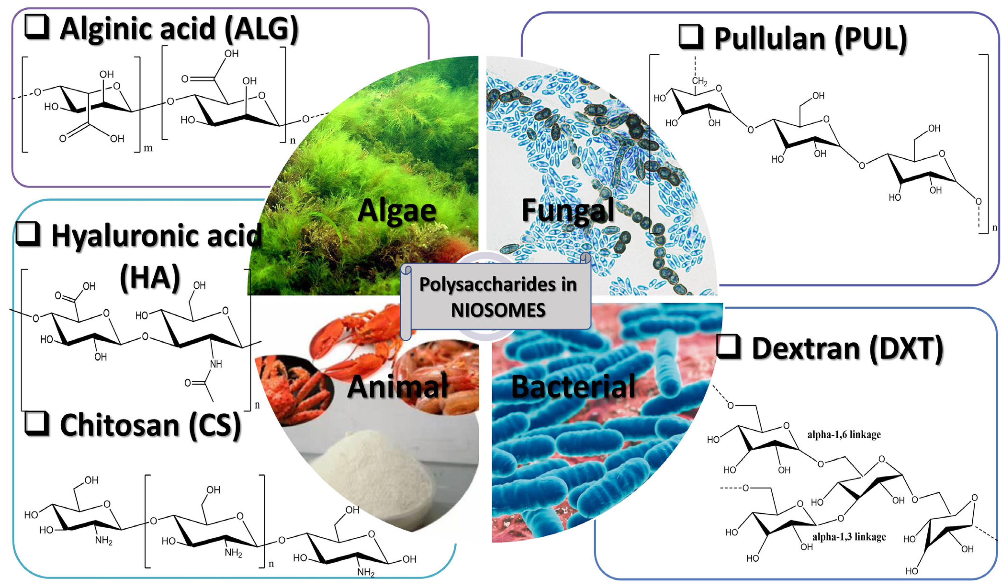 Polymers 17 01566 g003