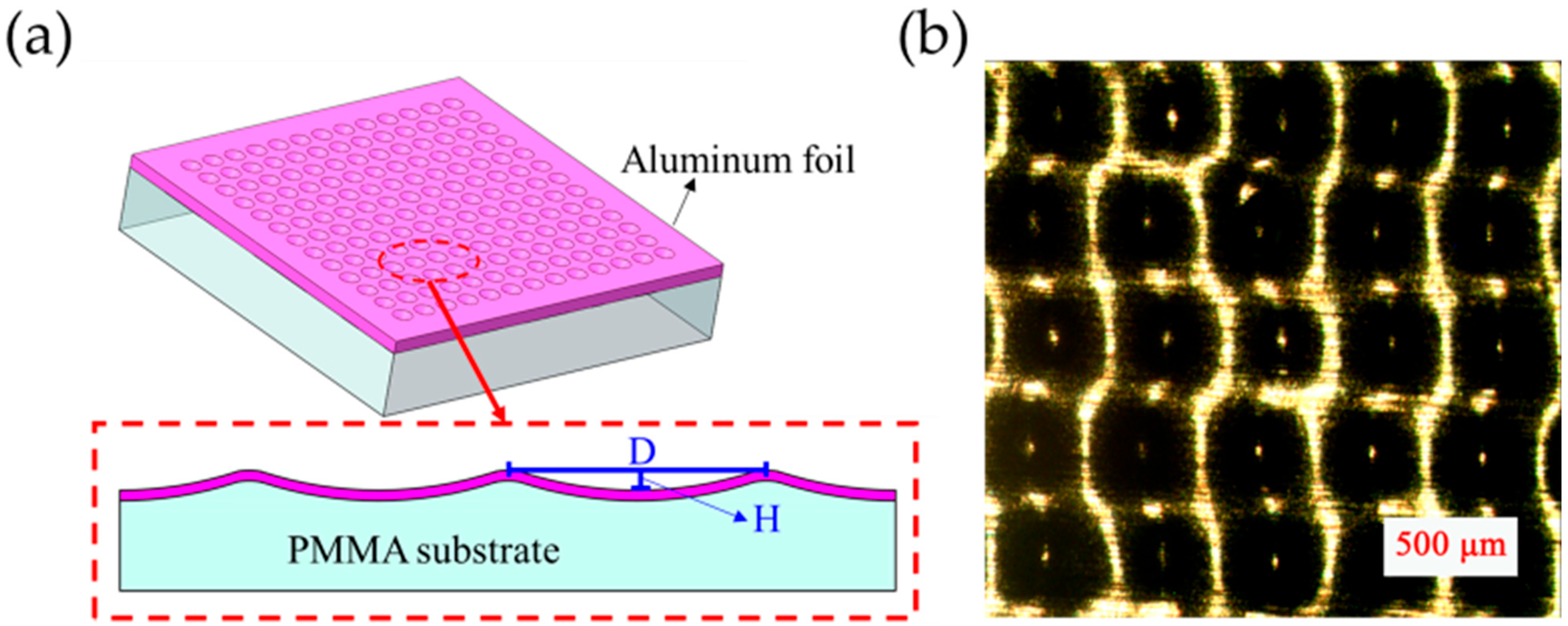 Polymers 17 01569 g003