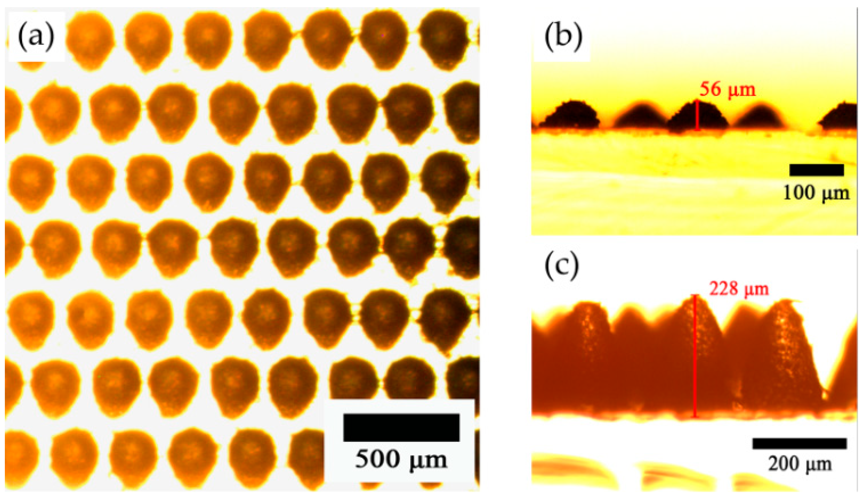 Polymers 17 01569 g004