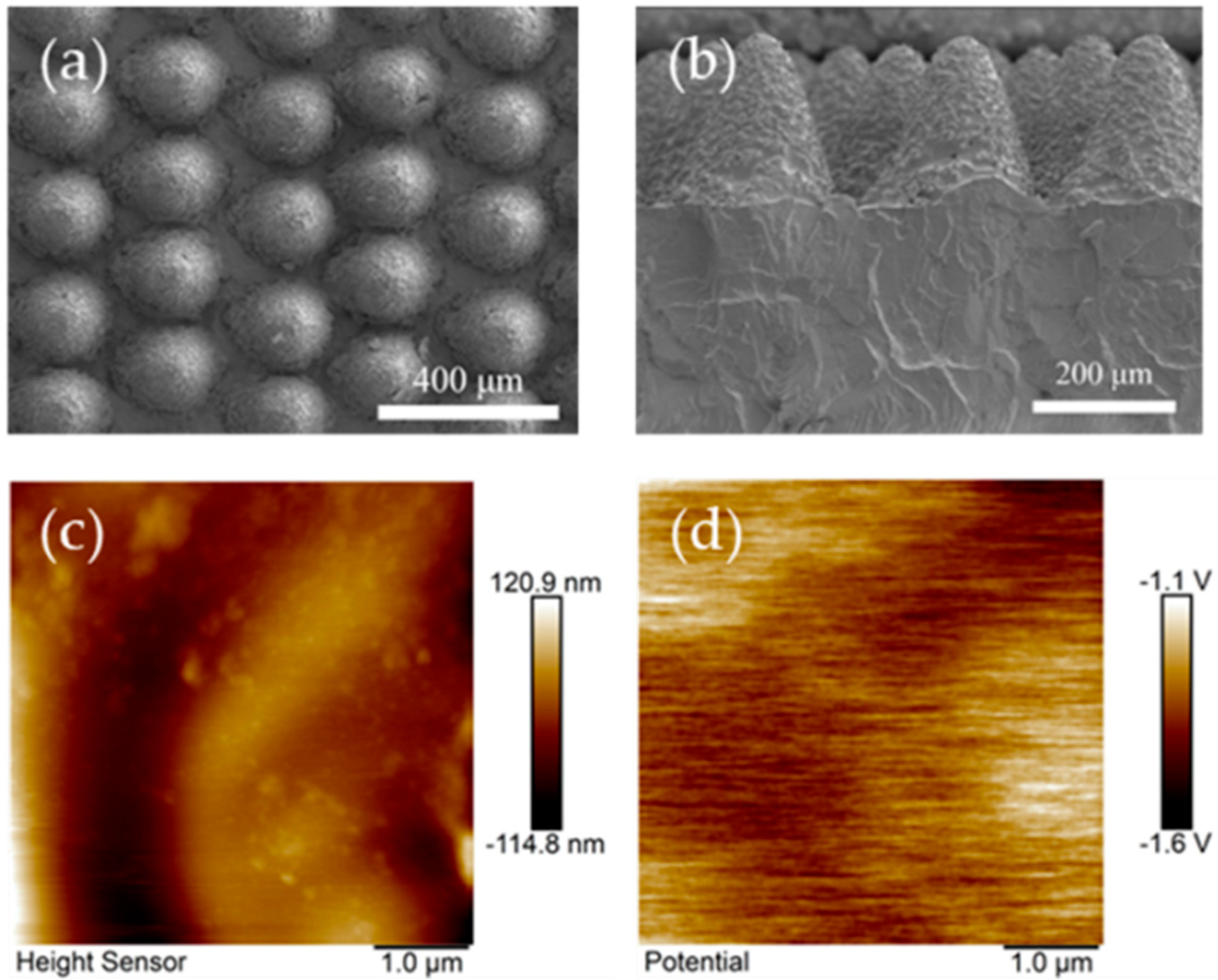 Polymers 17 01569 g005