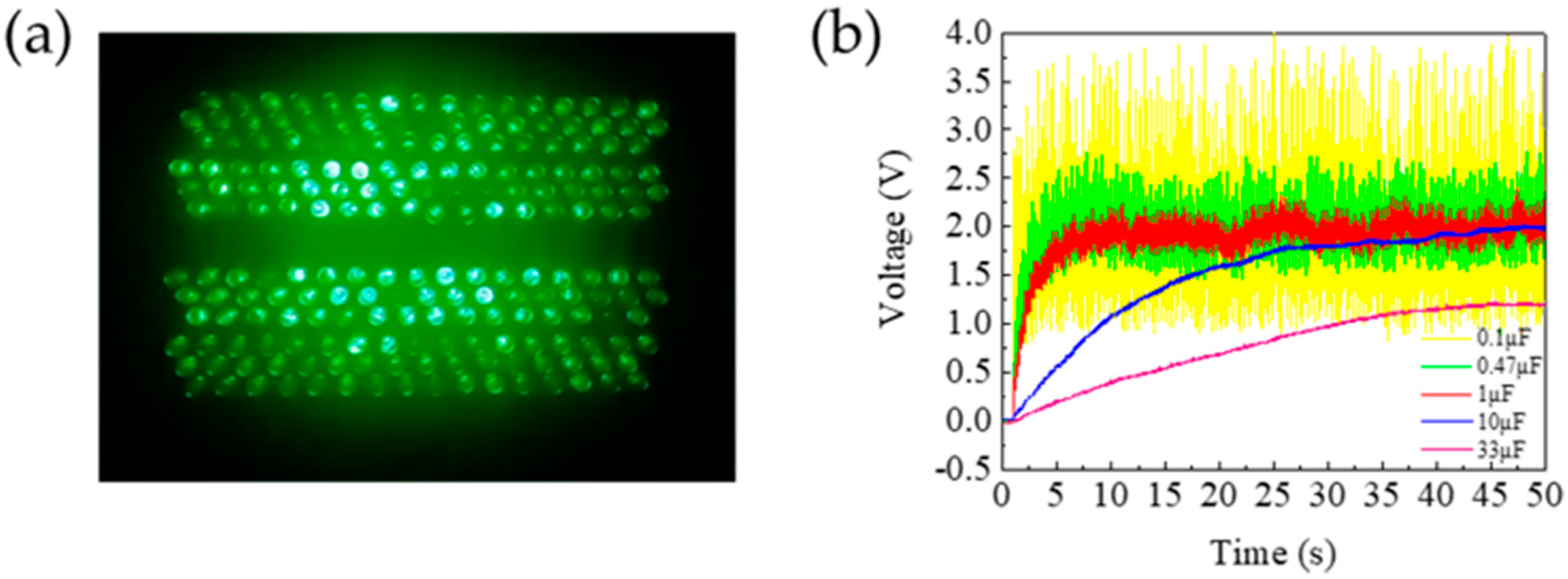 Polymers 17 01569 g011