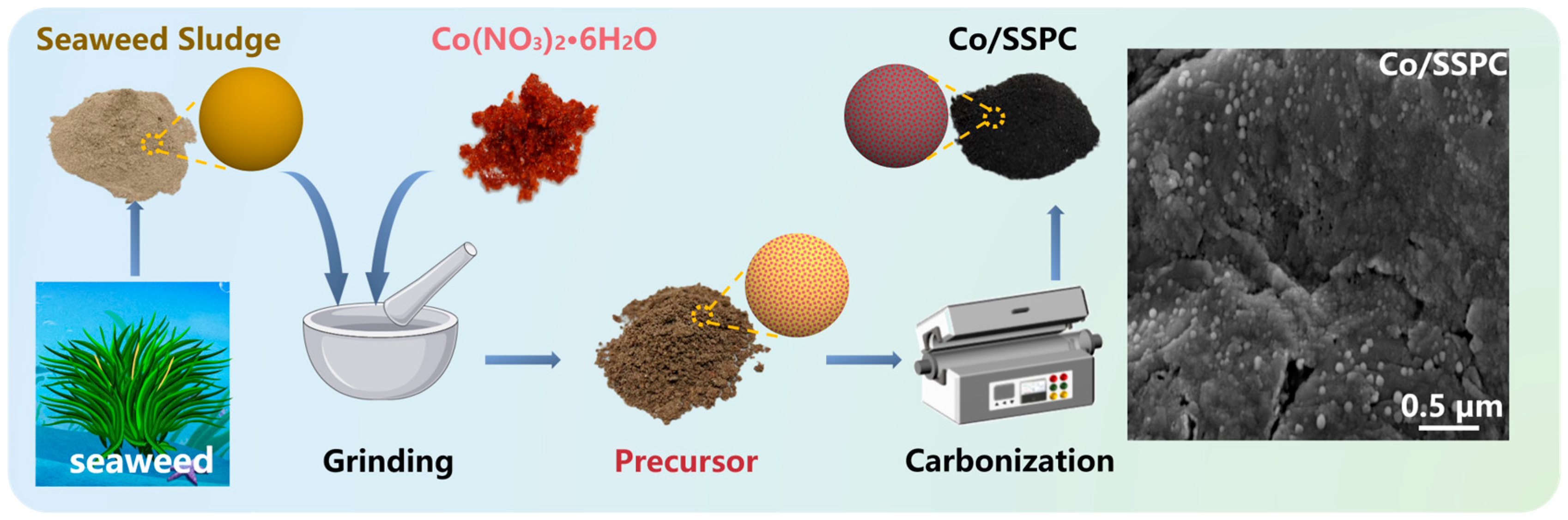 Polymers 17 01572 g001