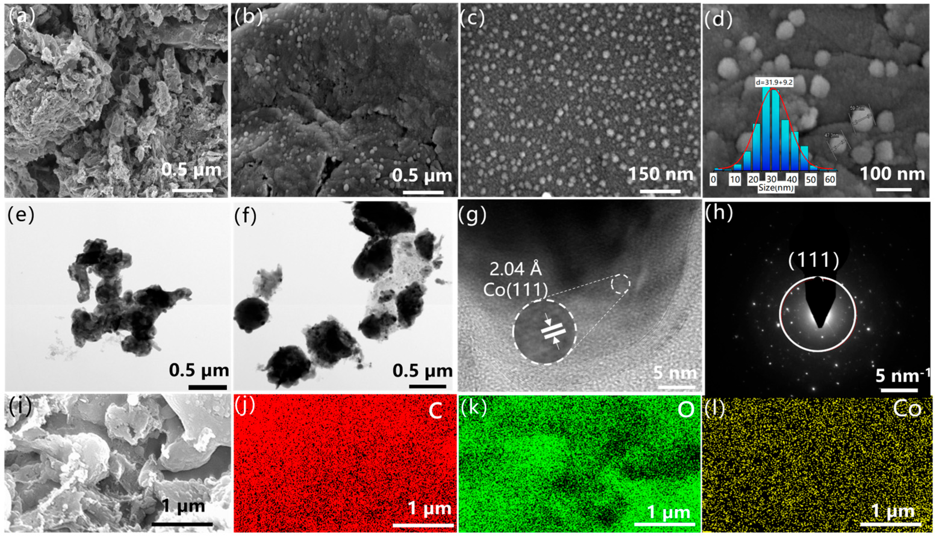 Polymers 17 01572 g002