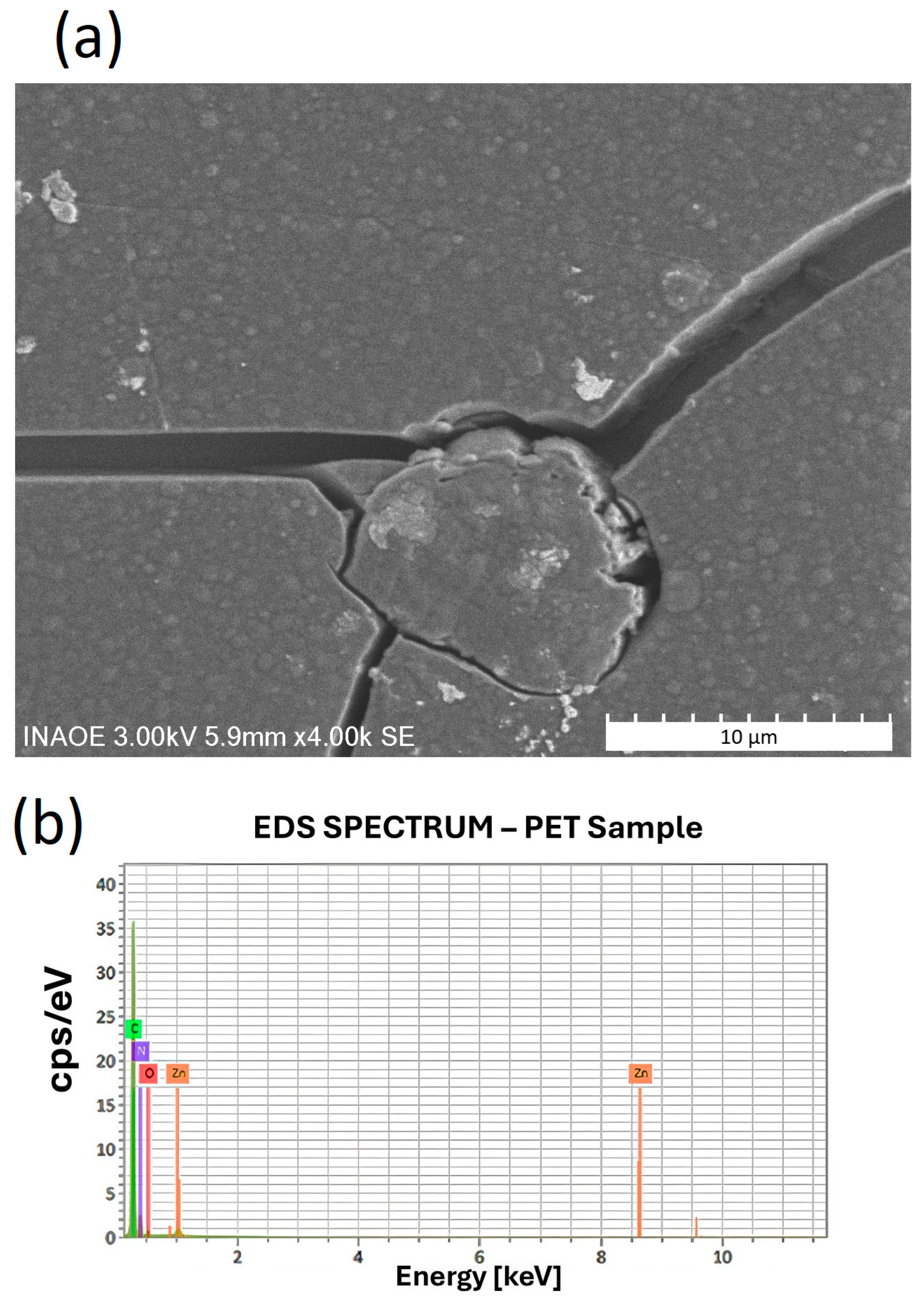 Polymers 17 01574 g007