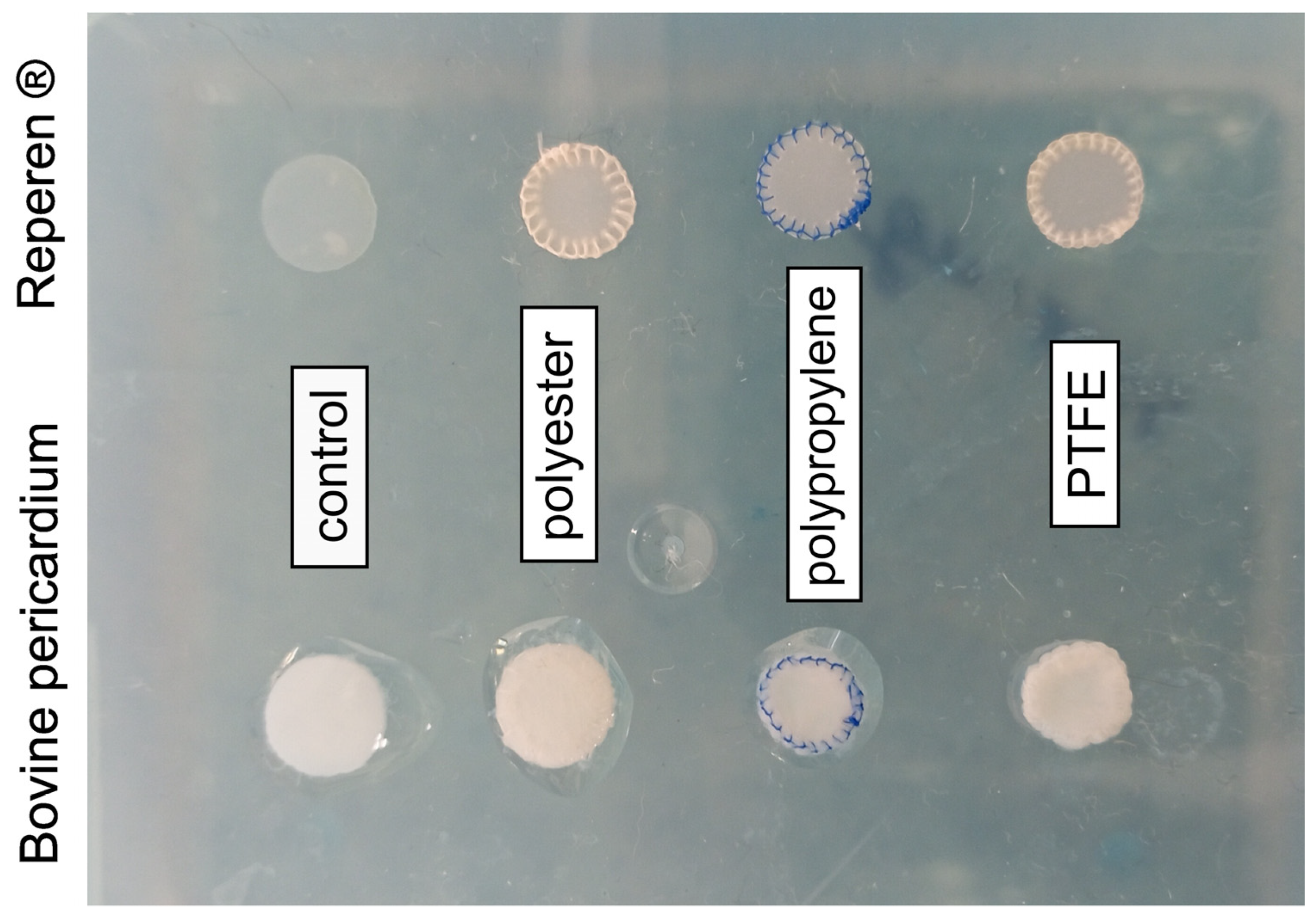 Polymers 17 01576 g002