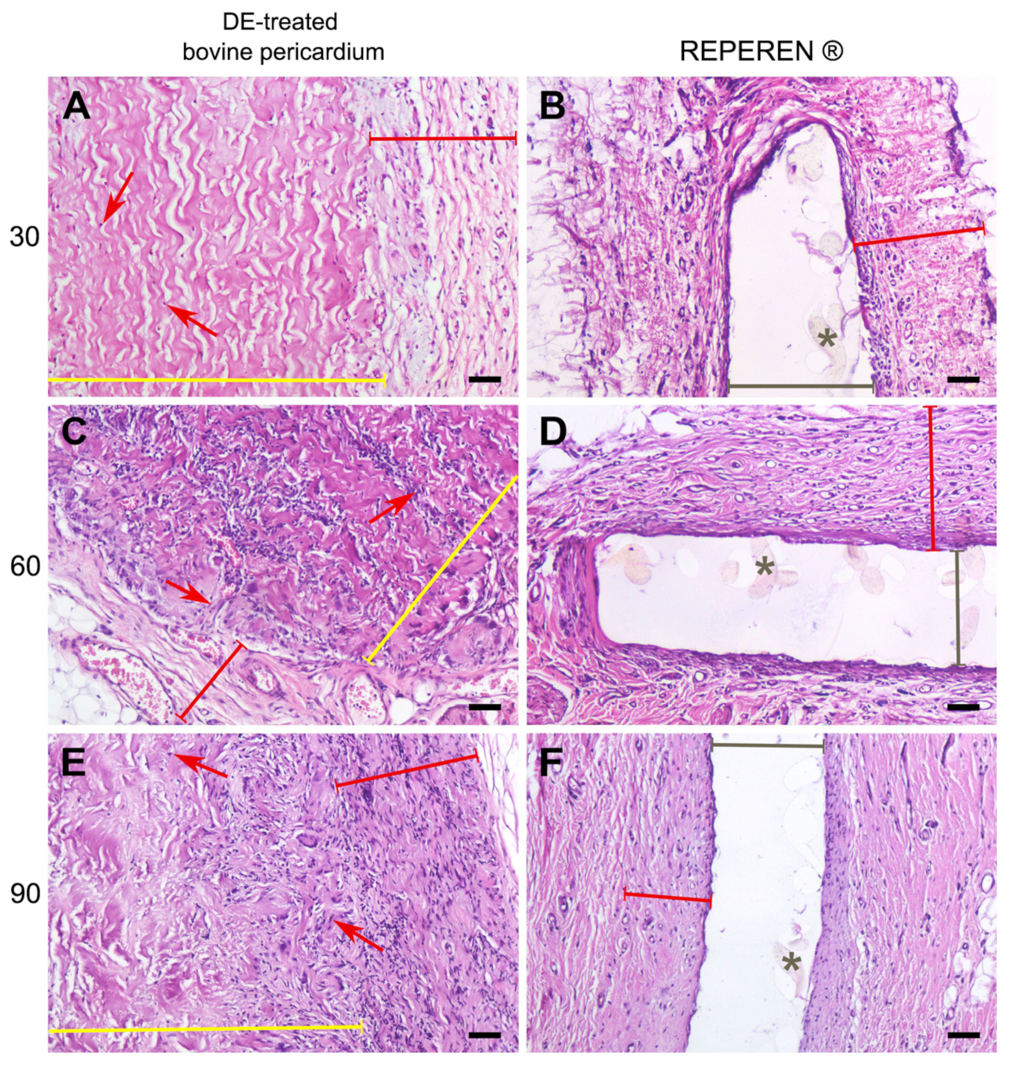 Polymers 17 01576 g005