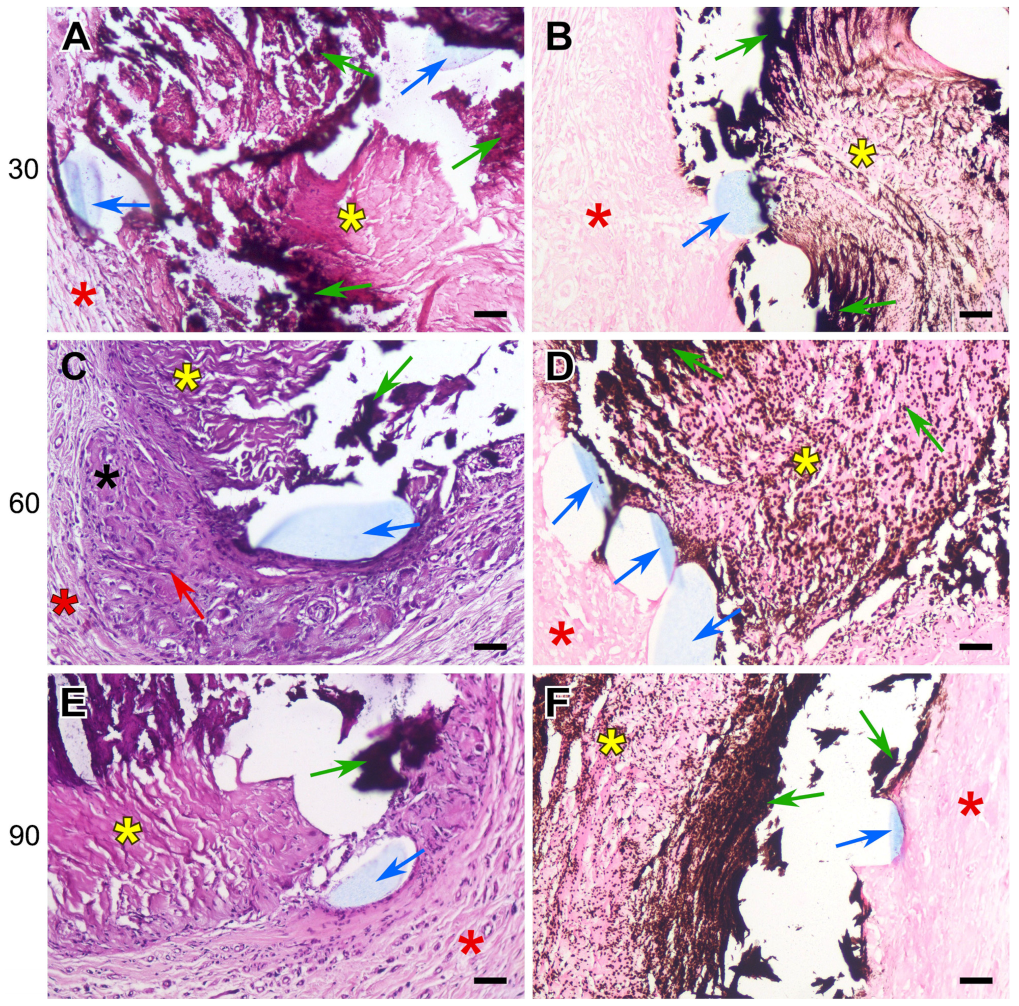 Polymers 17 01576 g007