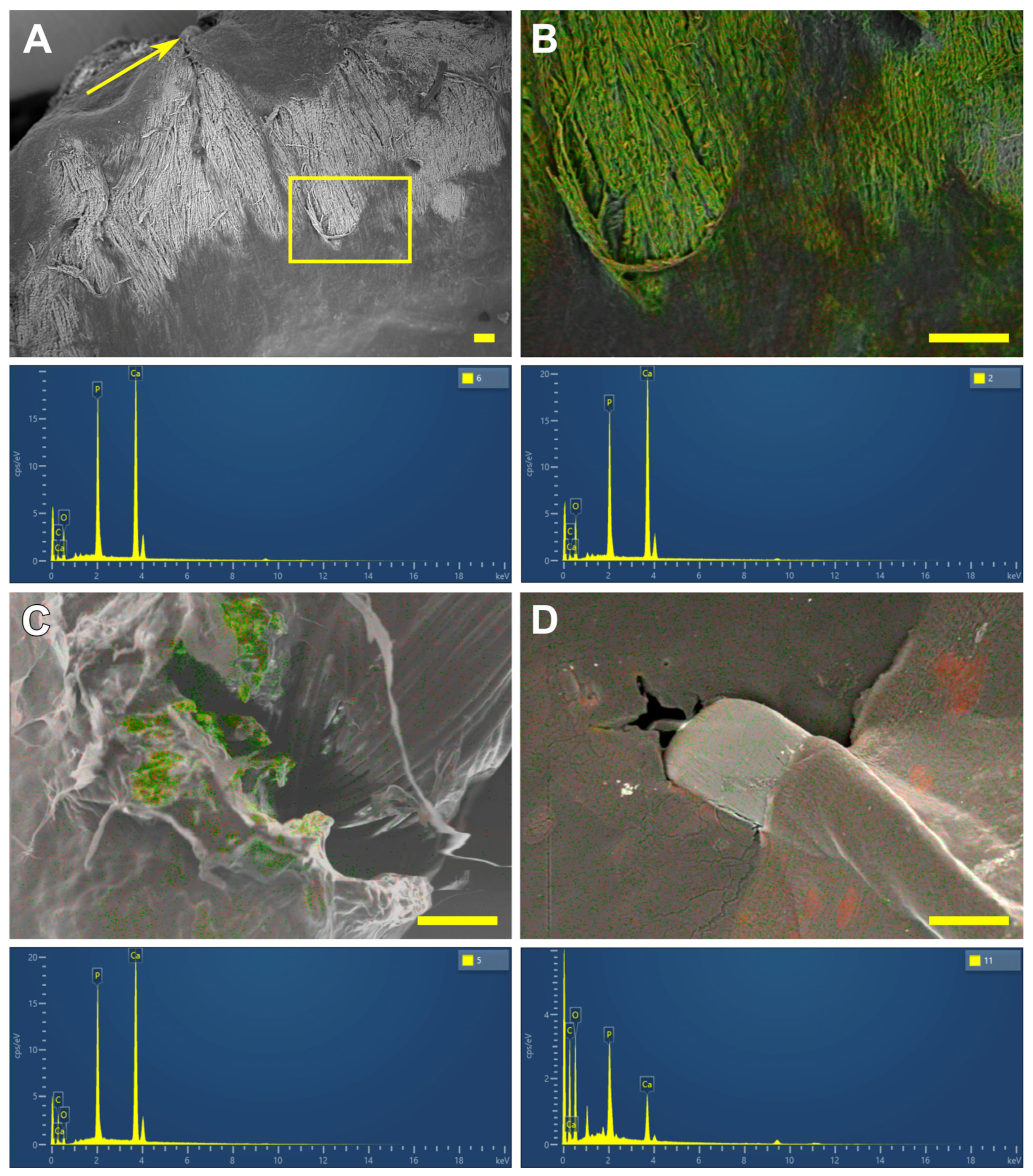 Polymers 17 01576 g009