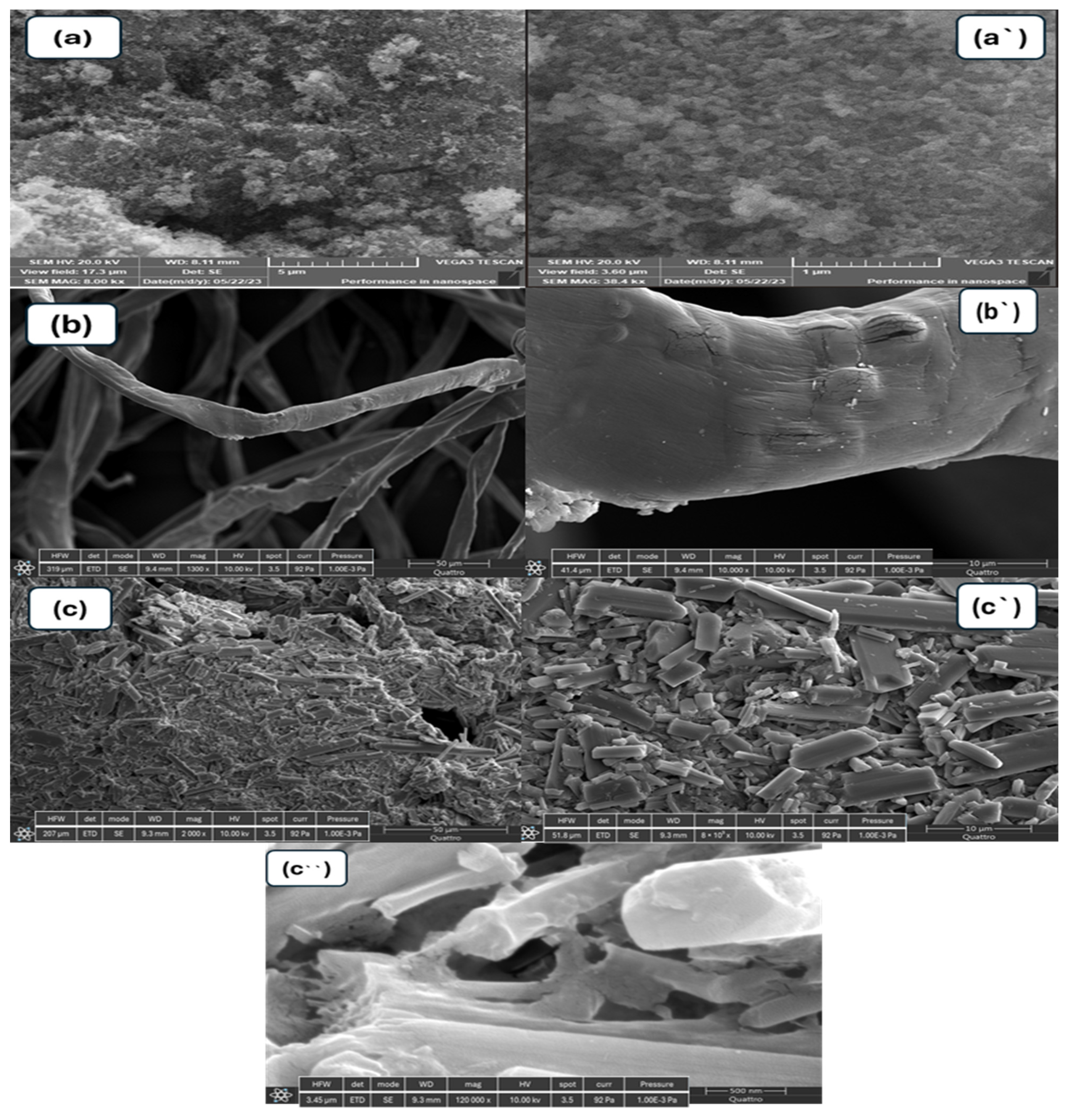 Polymers 17 01577 g002