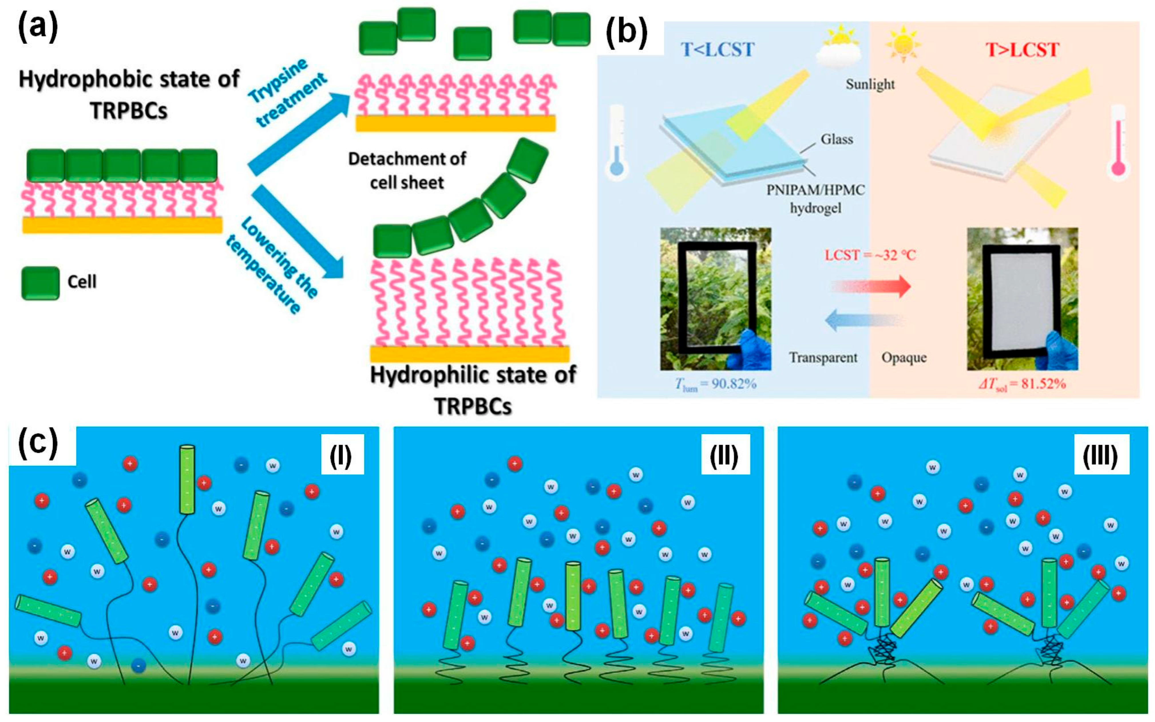 Polymers 17 01580 g001