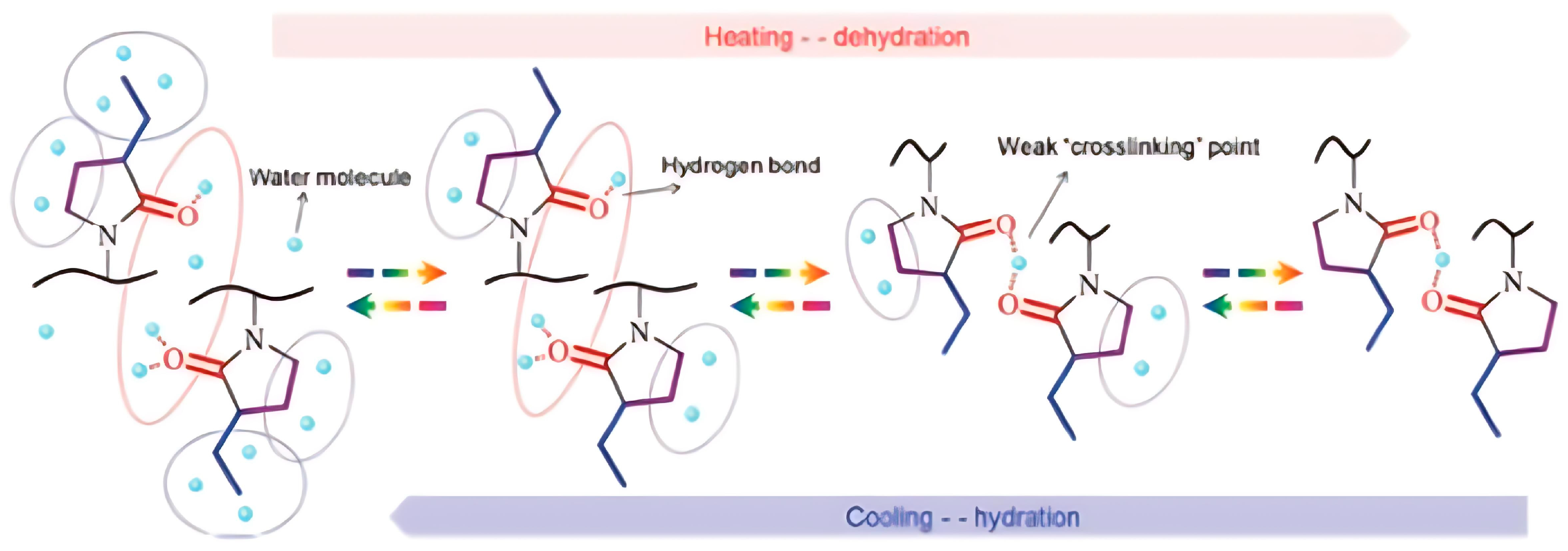 Polymers 17 01580 g012