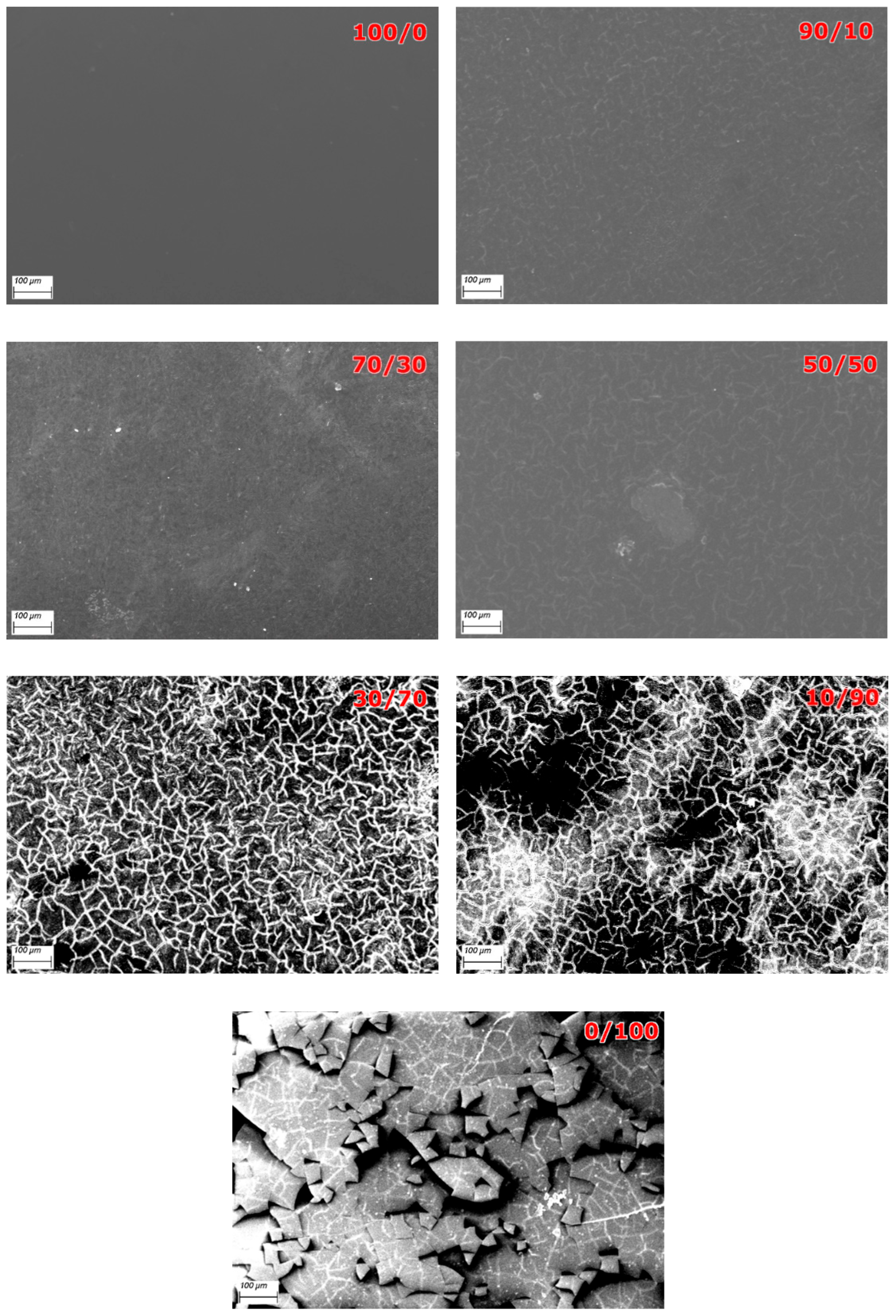 Polymers 17 01582 g009