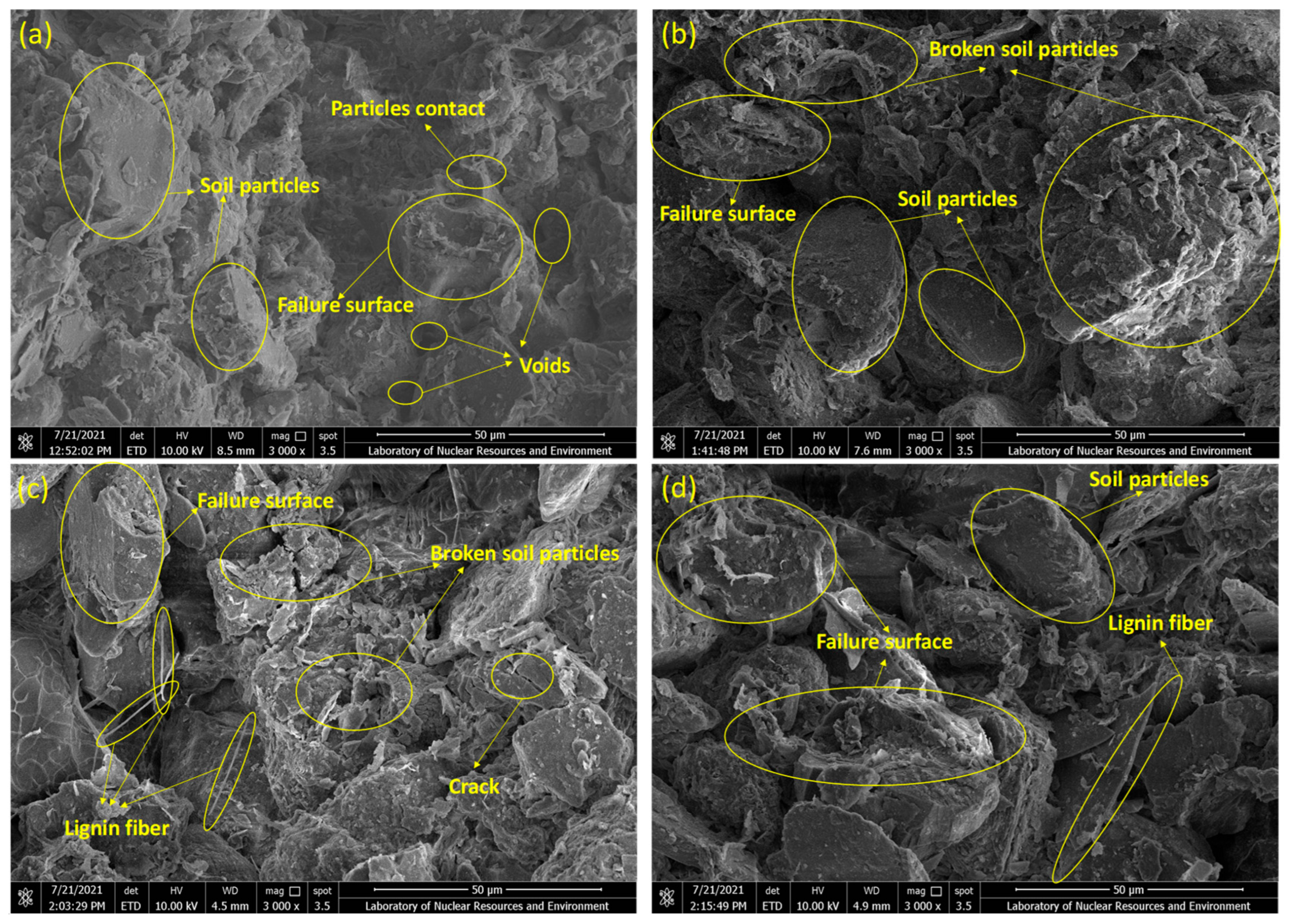 Polymers 17 01584 g007
