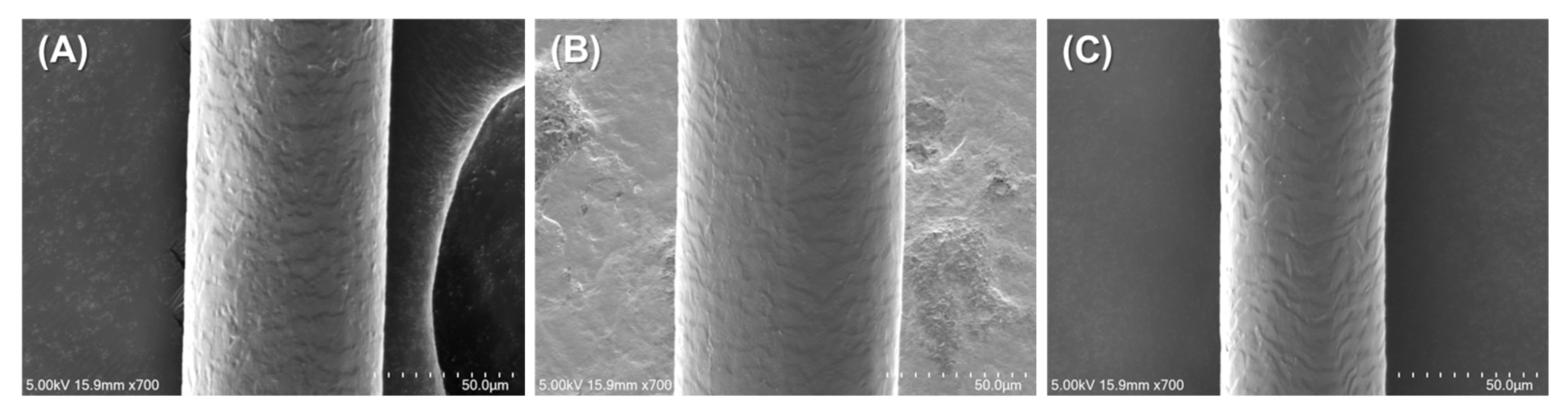 Polymers 17 01585 g005