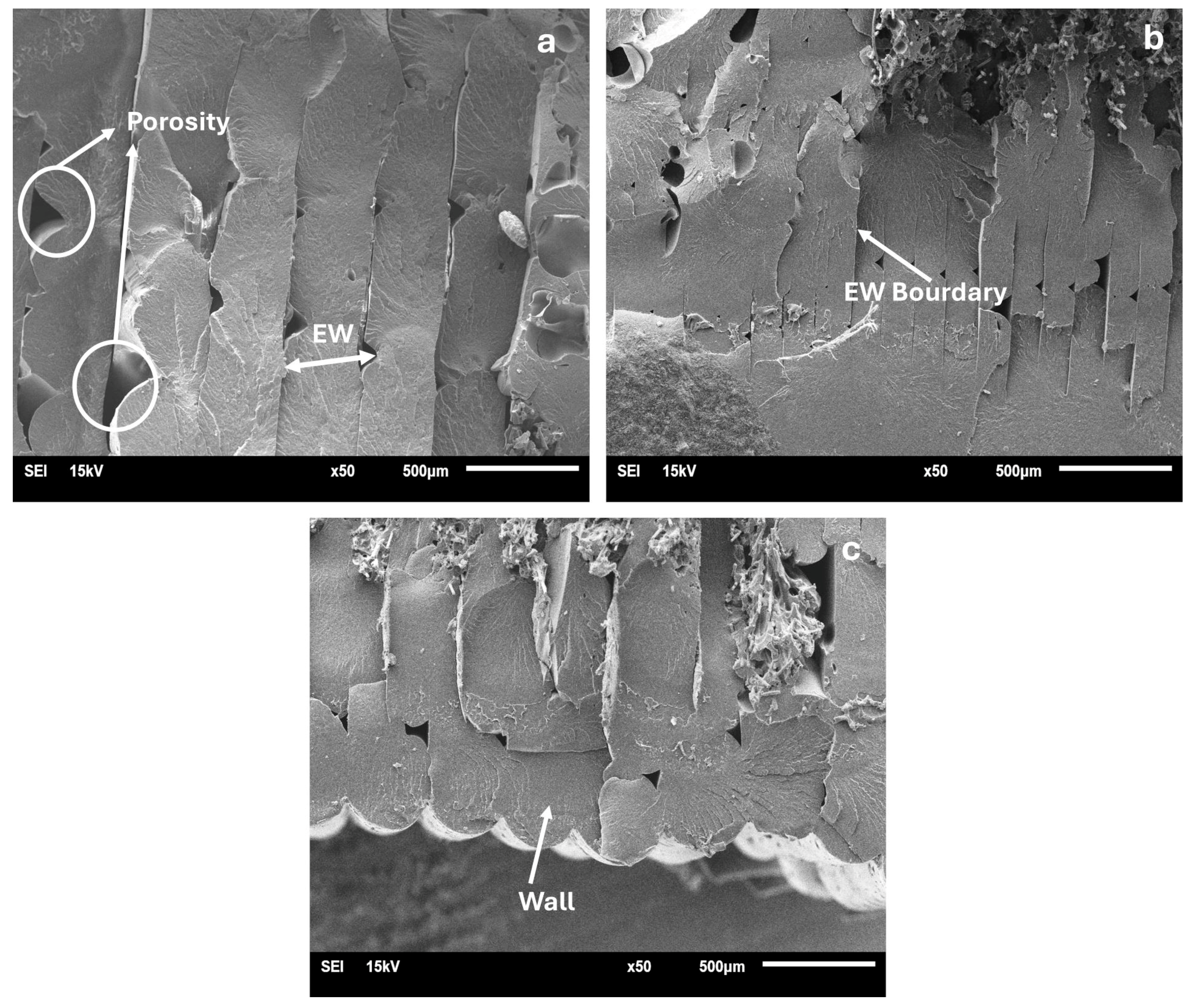 Polymers 17 01590 g009