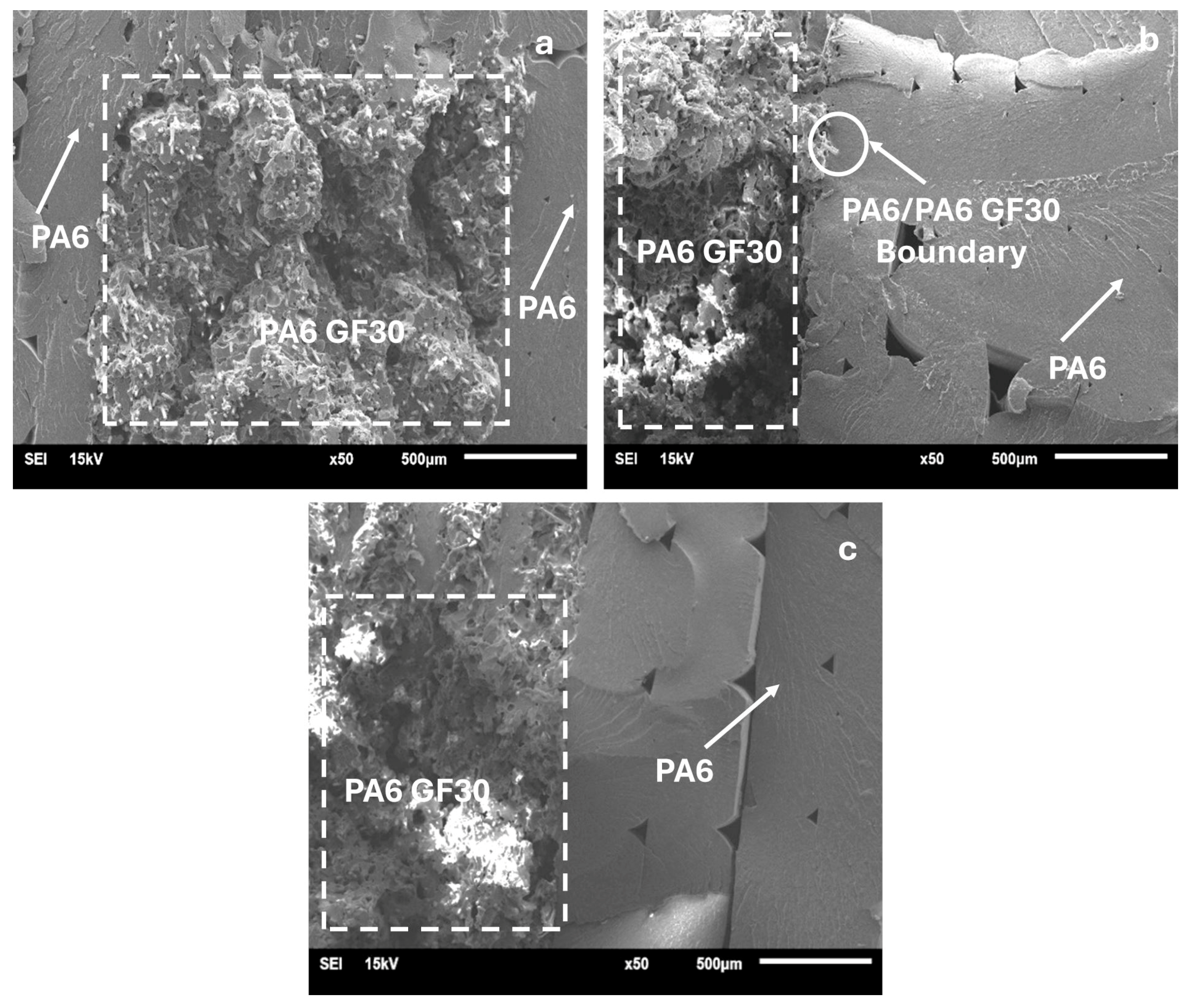 Polymers 17 01590 g010