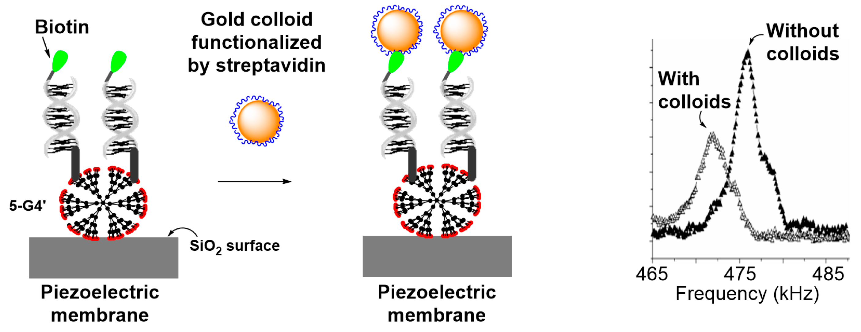Polymers 17 01591 g010