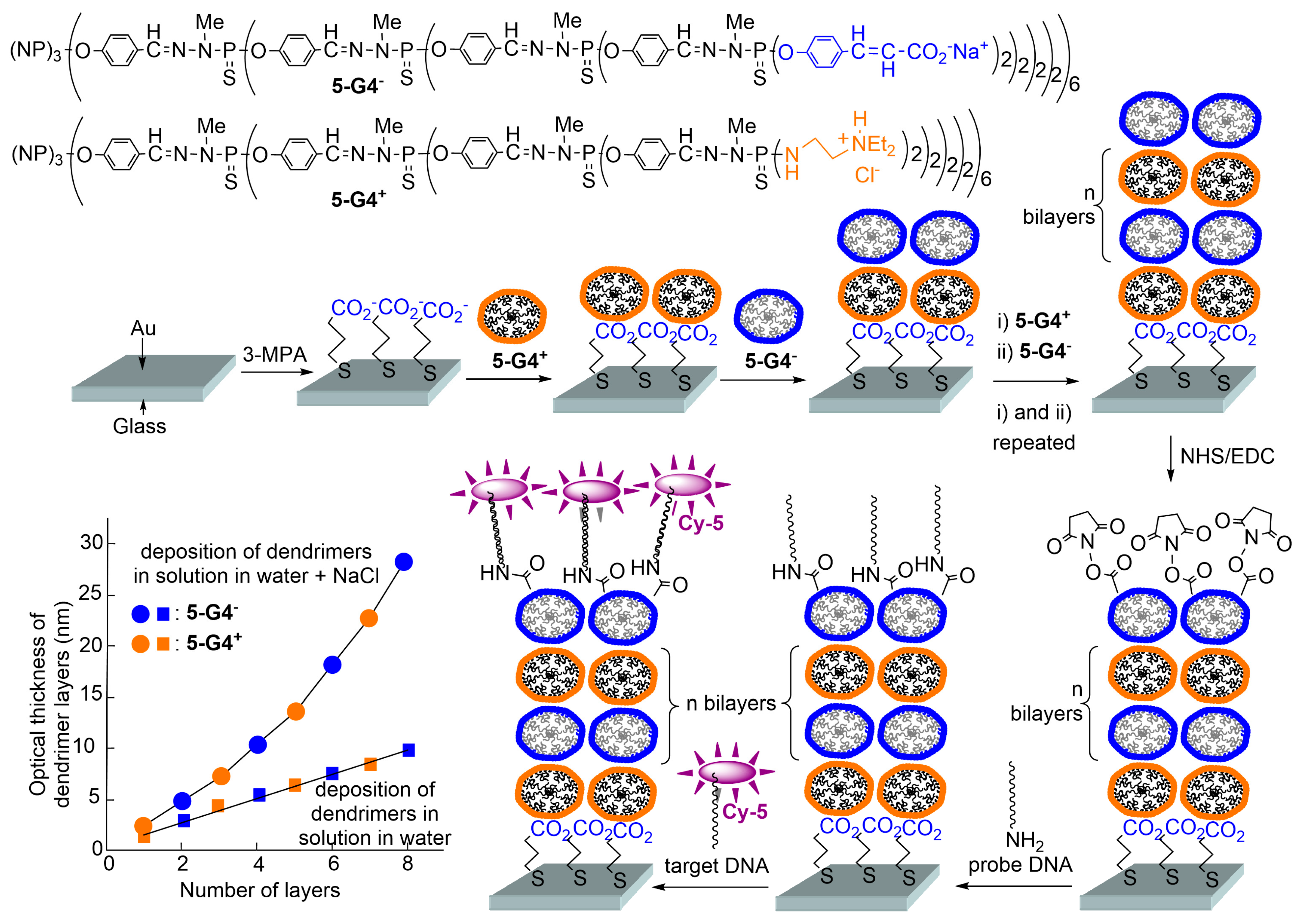 Polymers 17 01591 g012