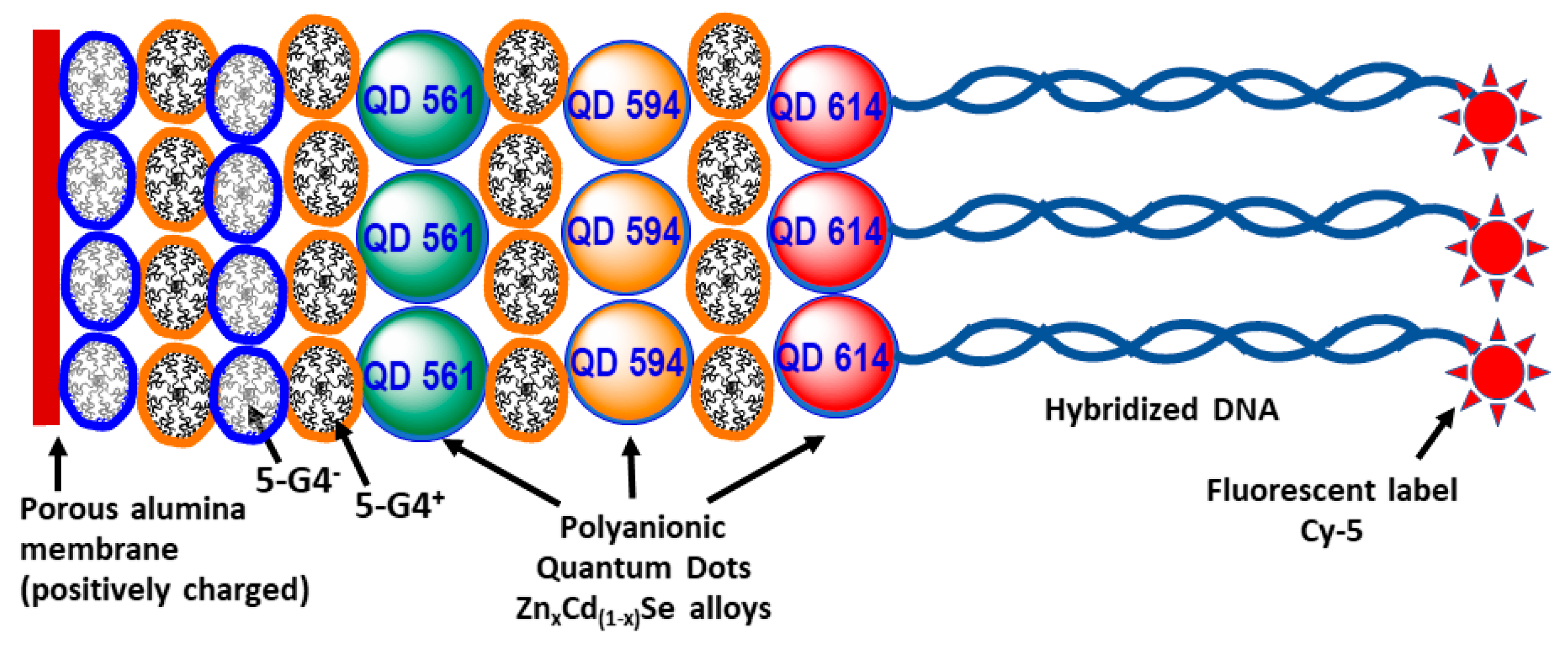 Polymers 17 01591 g014